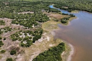 dry lagoon bed and green vegetation