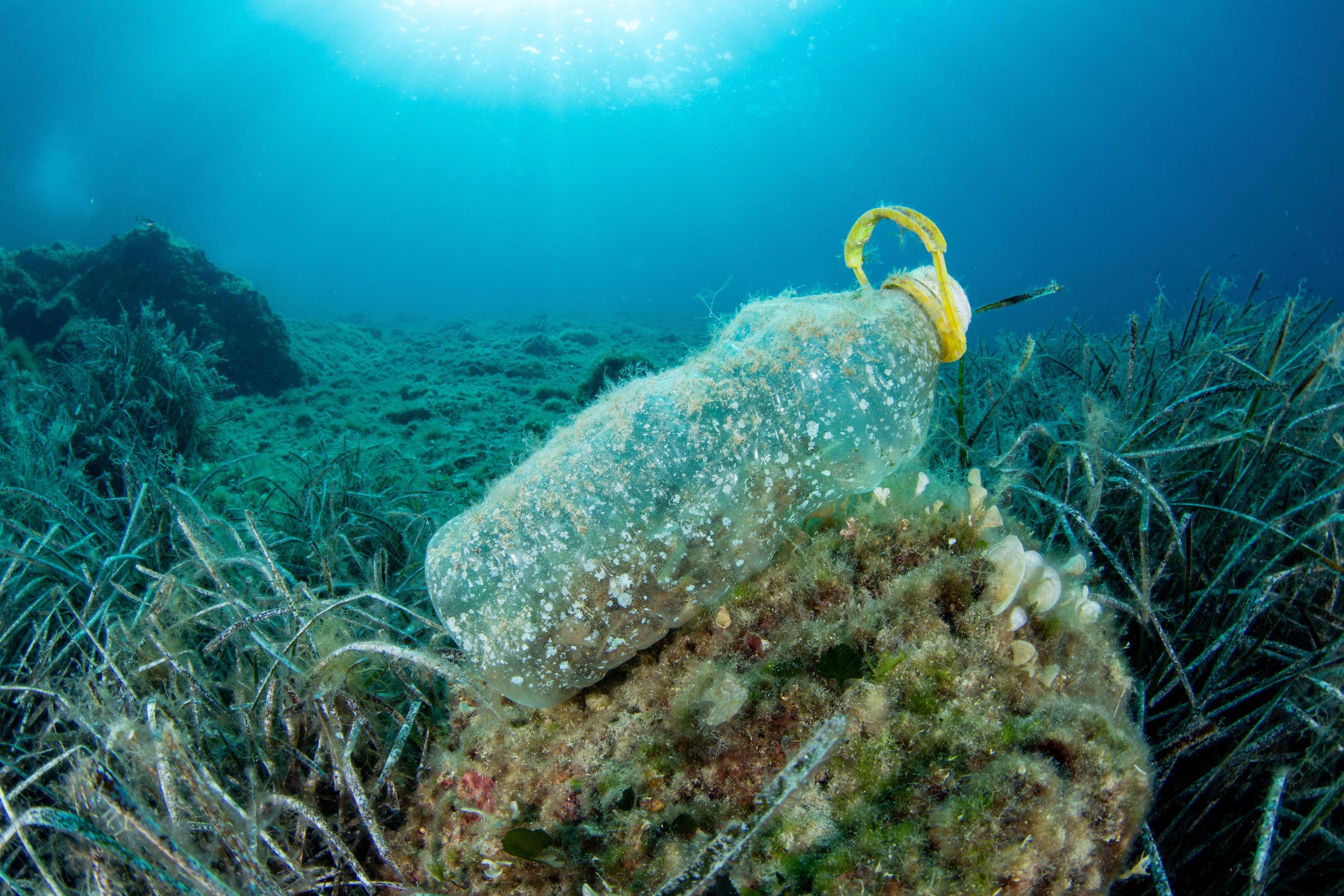 a plastic bottle on the sea bottom