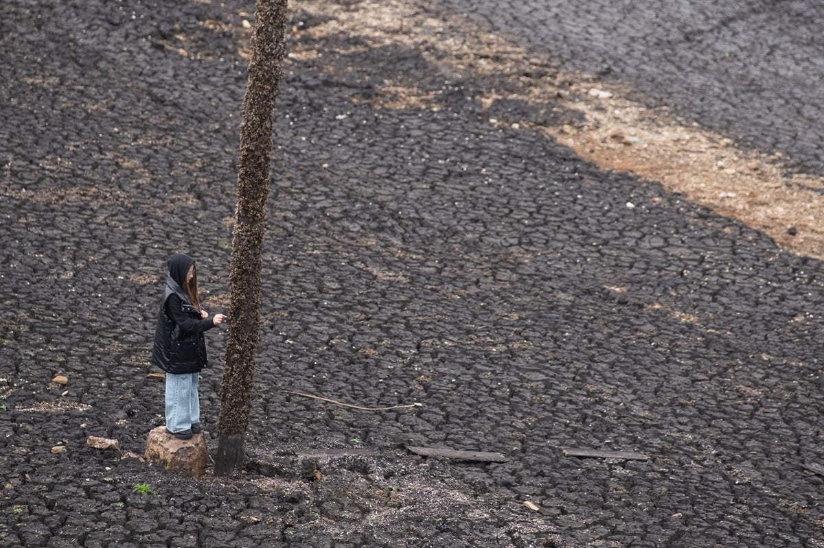 Una niña parada en el embalse de una represa seca