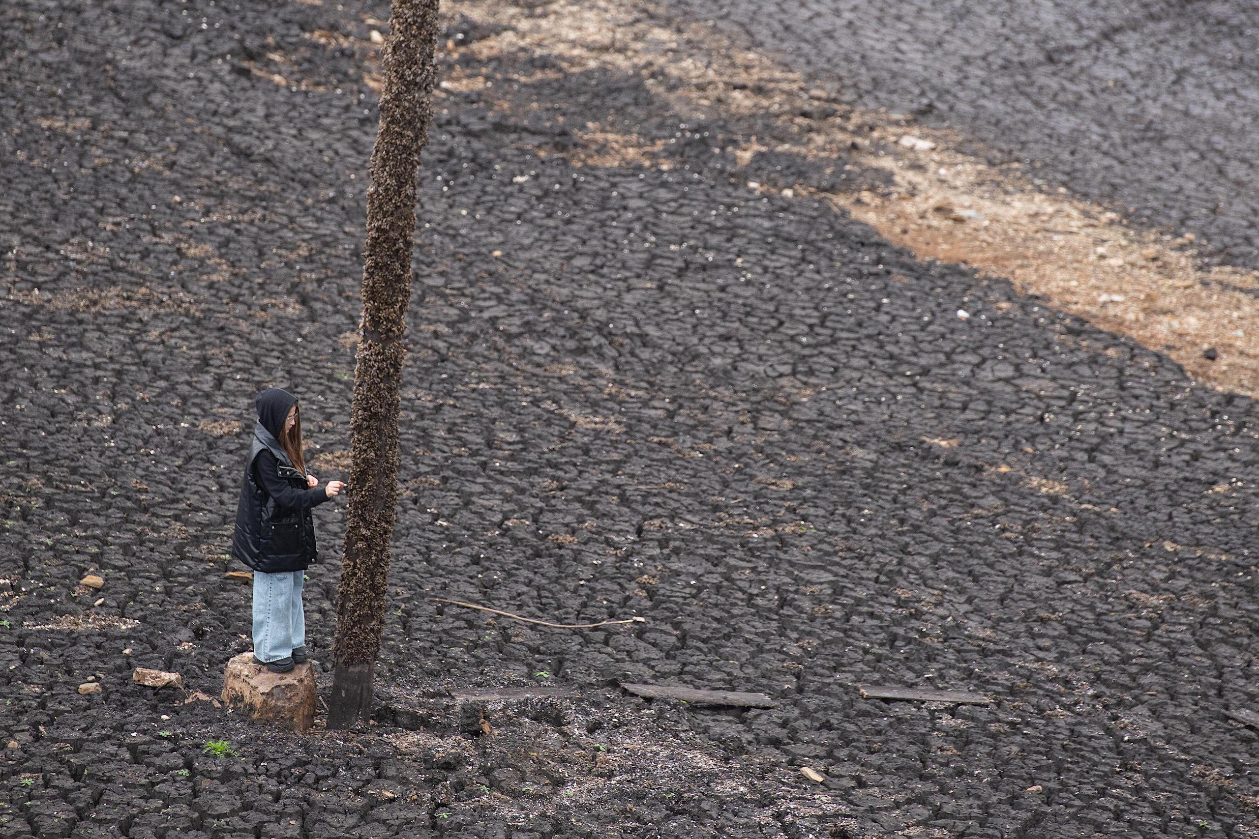 <p>A girl stands on the bed of the dried-up Paso Severino reservoir, which supplies water to Uruguay’s capital region, in July 2023, at the peak of a severe drought. Initiatives to secure water supply will be a high priority for the next president of the South American country (Image: Santiago Mazzarovich / DPA / Alamy)</p>