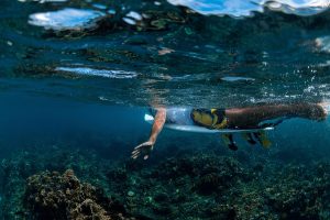 Un surfista nada entre arrecifes de coral