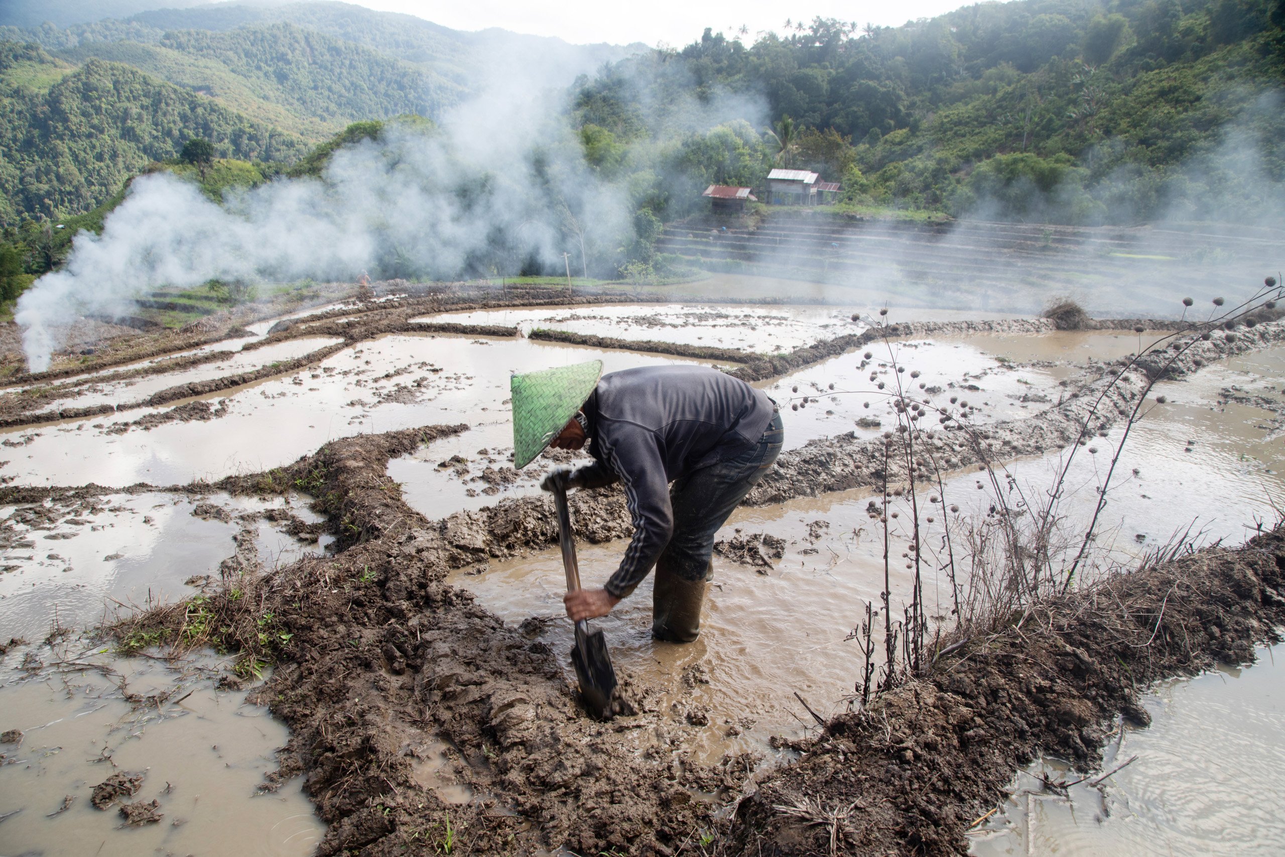 hombre trabaja en campo de arroz