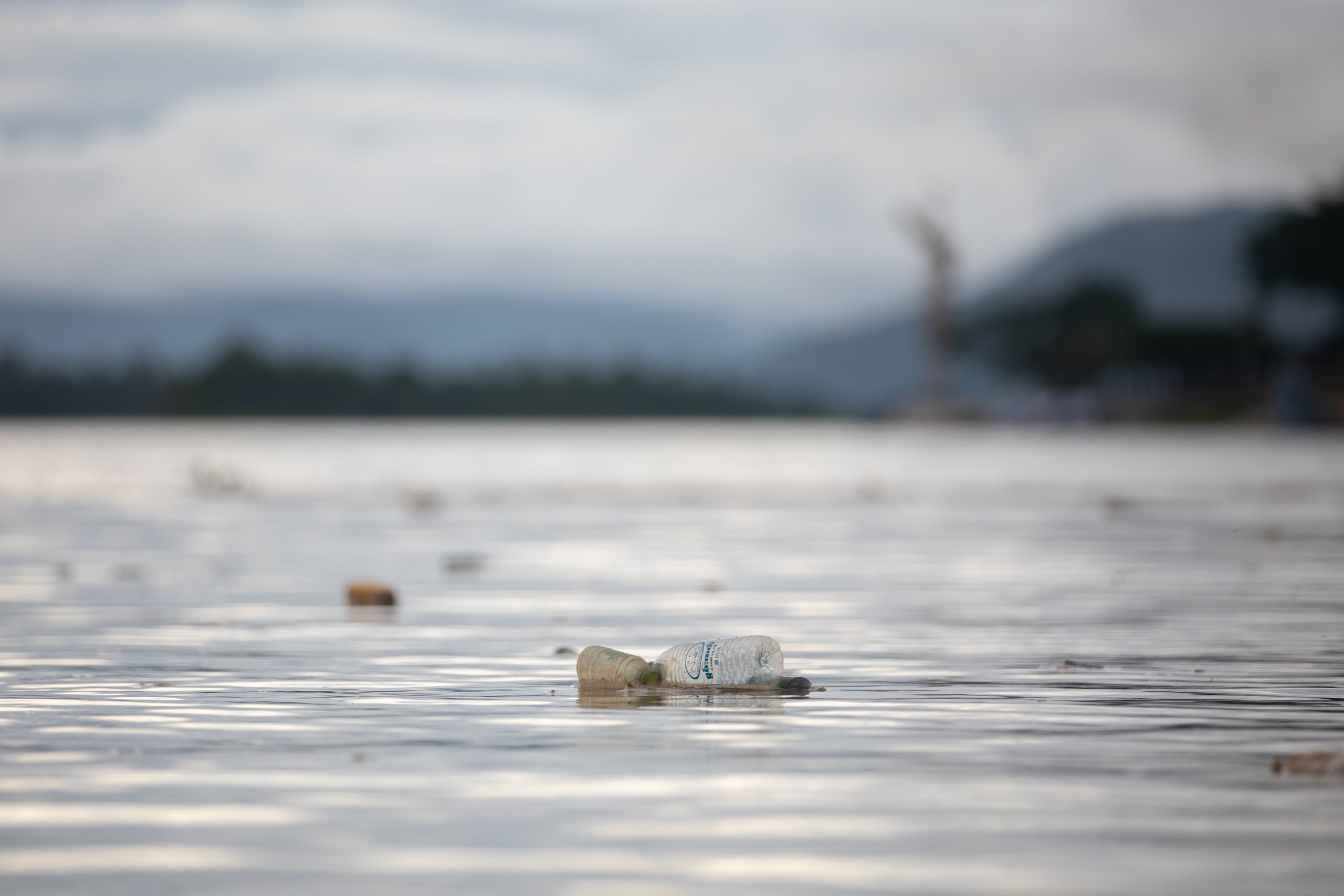 plastic bottles float on the surface of the water