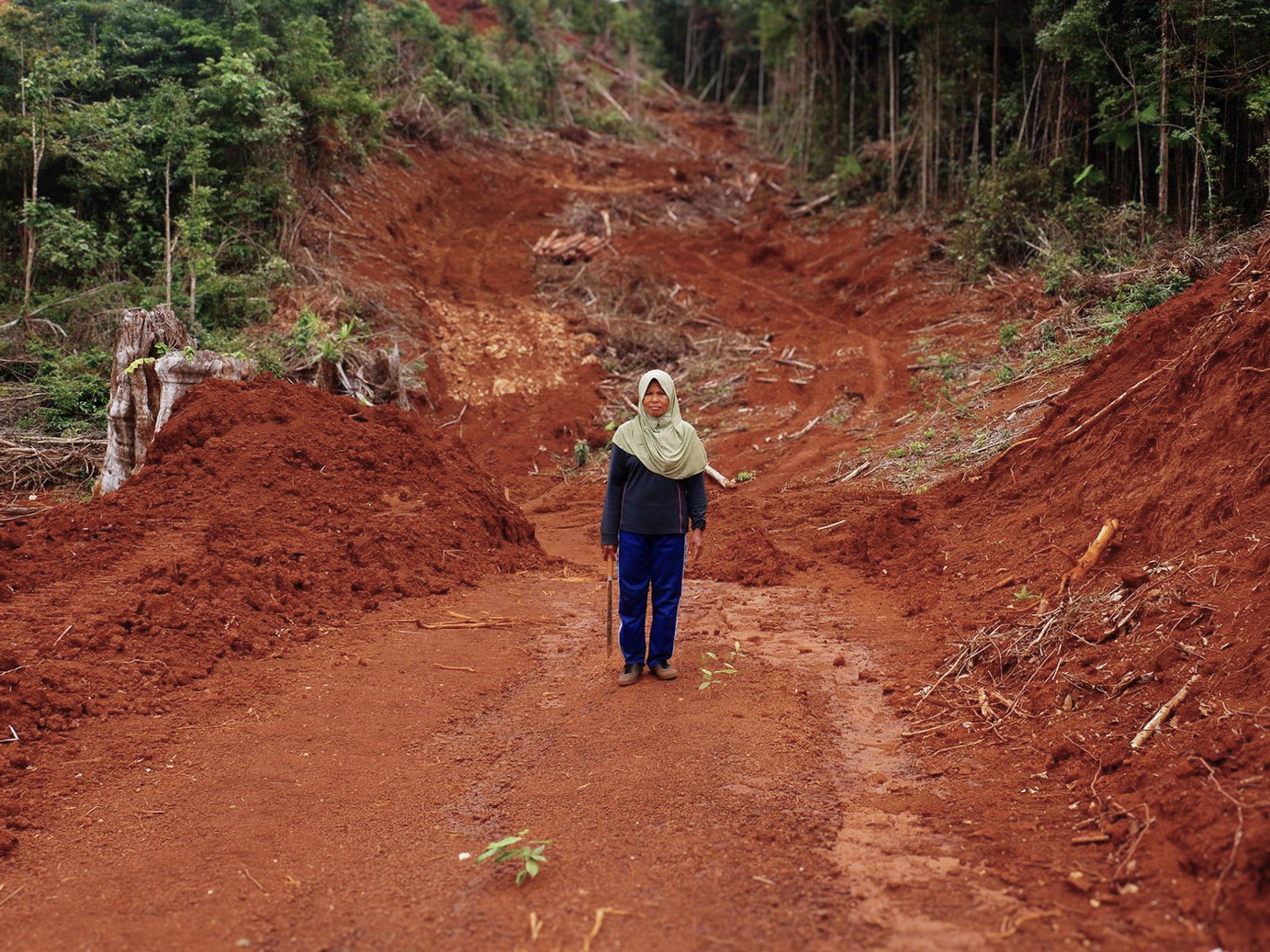 <p>Royani, a resident of Mosolo village in south-east Sulawesi, Indonesia, stands on her land, which has been stripped bare. Three hundred of her clove trees have been cut down by a mining company, which is now planning to push ahead with excavations (Image: Yuli Z / Project Multatuli)</p>