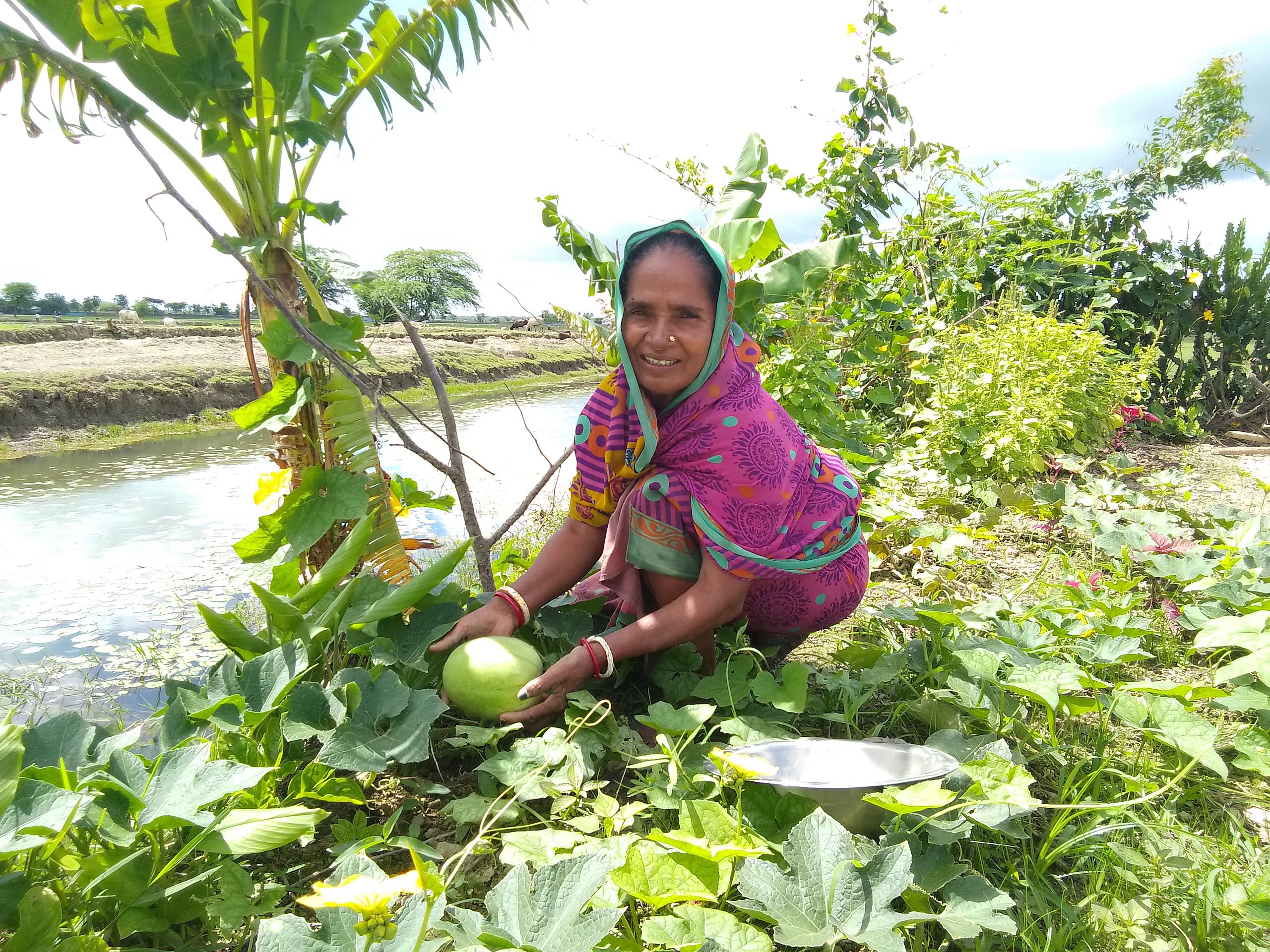 A woman holds a watermelon in the field