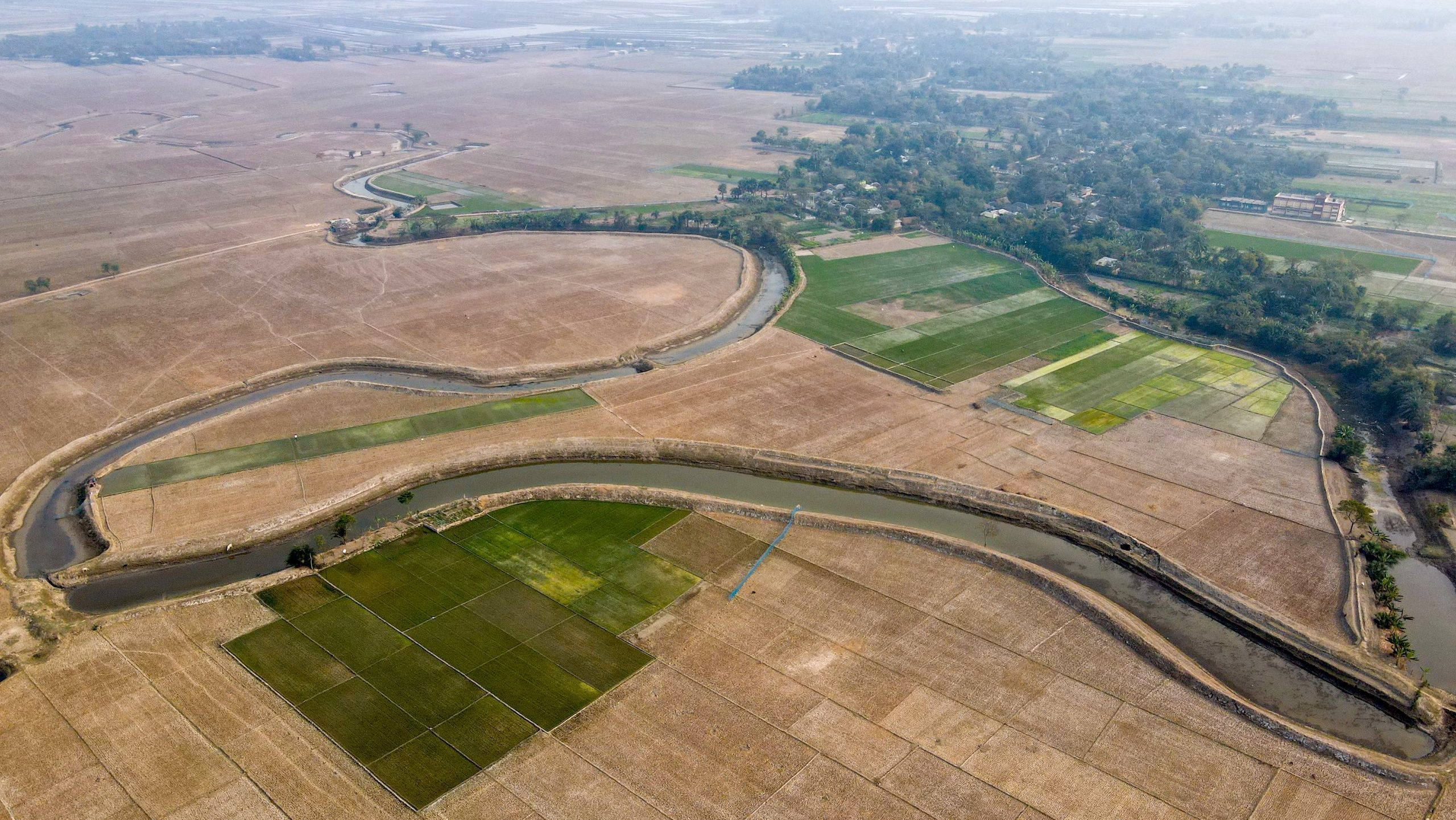a rice field bordered by a winding river