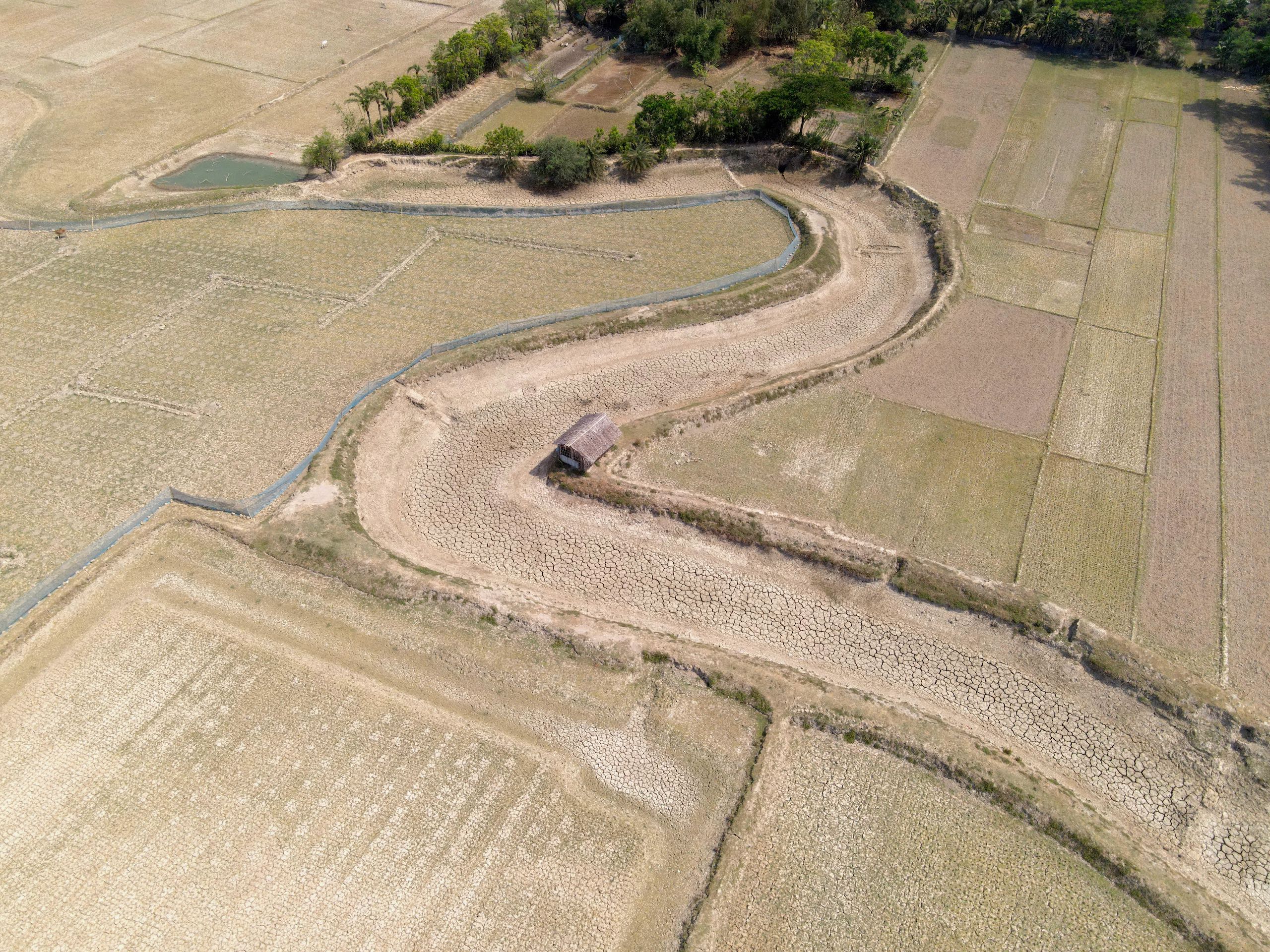 a farm field with a dirt road cutting through crops and open land