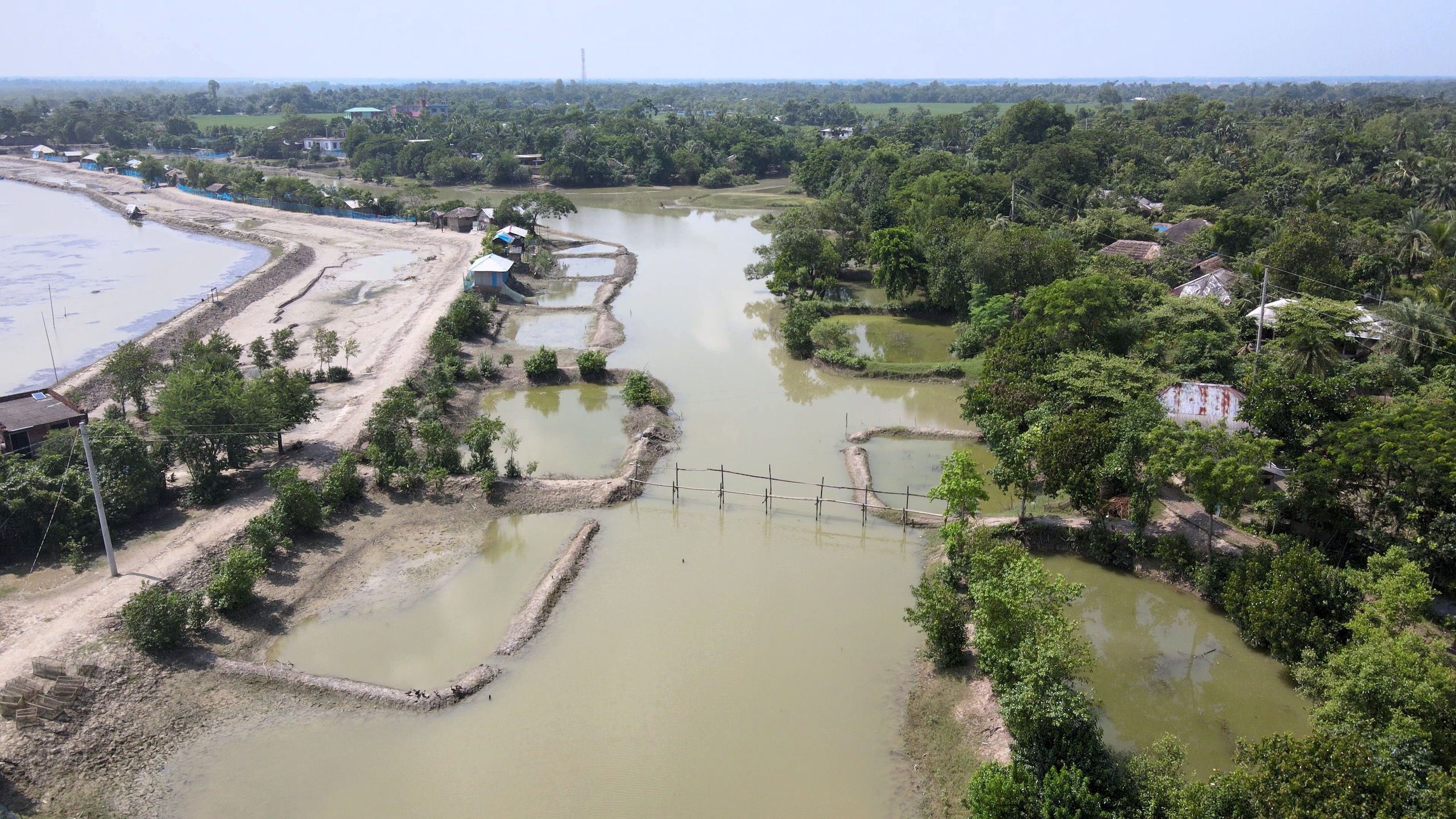 <p>The Kachukhali canal in Kultoli village, July 2024. The illegal bamboo fence, which is visible across the canal, is being used by shrimp farmers to trap fish during tidal flows. Such activities obstruct the downstream flow and cause significant disruption (Image: Center for Natural Resource Studies)</p>