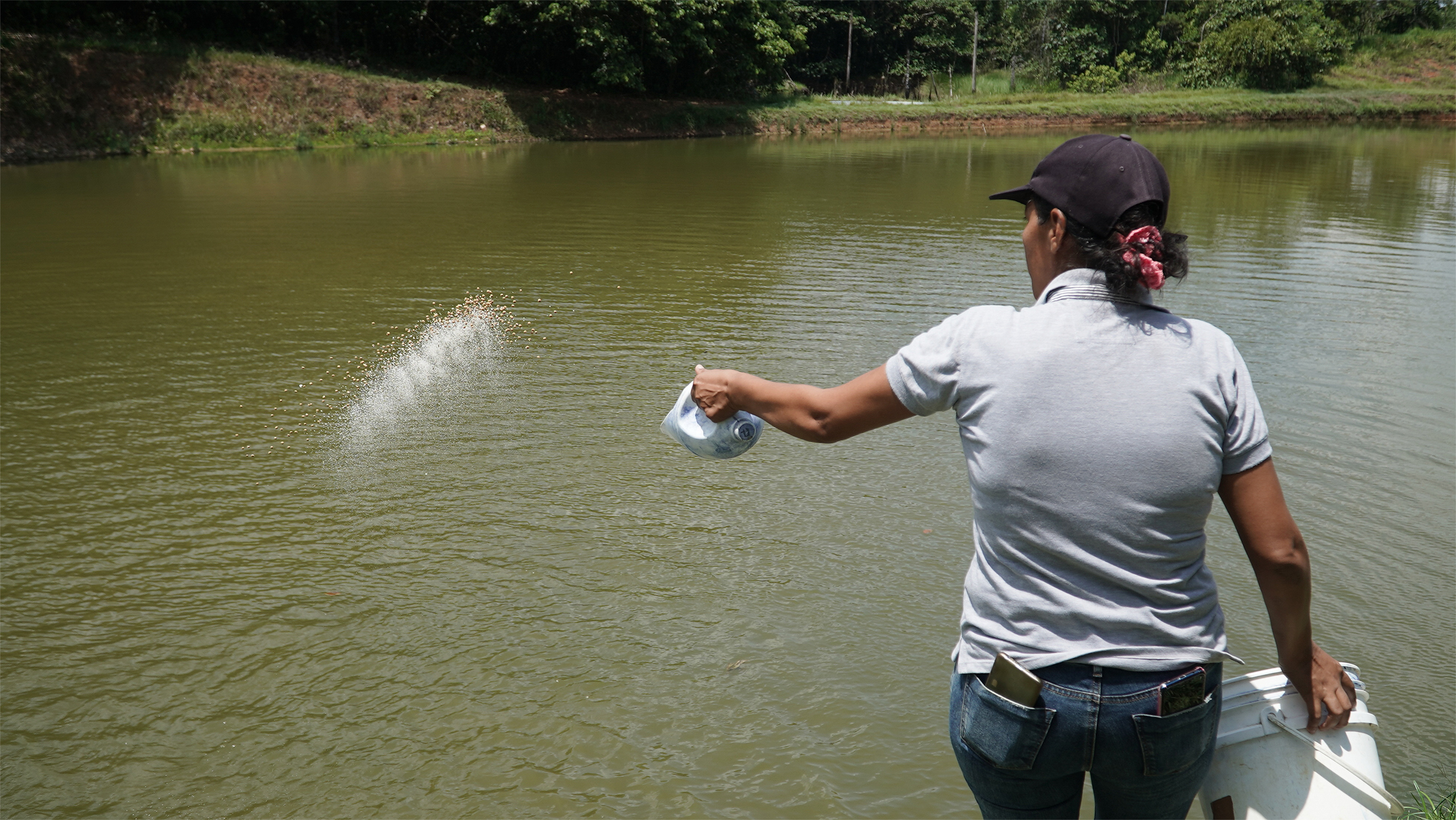 <p>Aura Ruiz, da associação de piscicultura Asoppaep, alimenta peixes em uma das piscinas do coletivo, nos arredores de Puerto Caicedo, em Putumayo, Colômbia (Imagem © Duber Rosero / WWF Colômbia)</p>