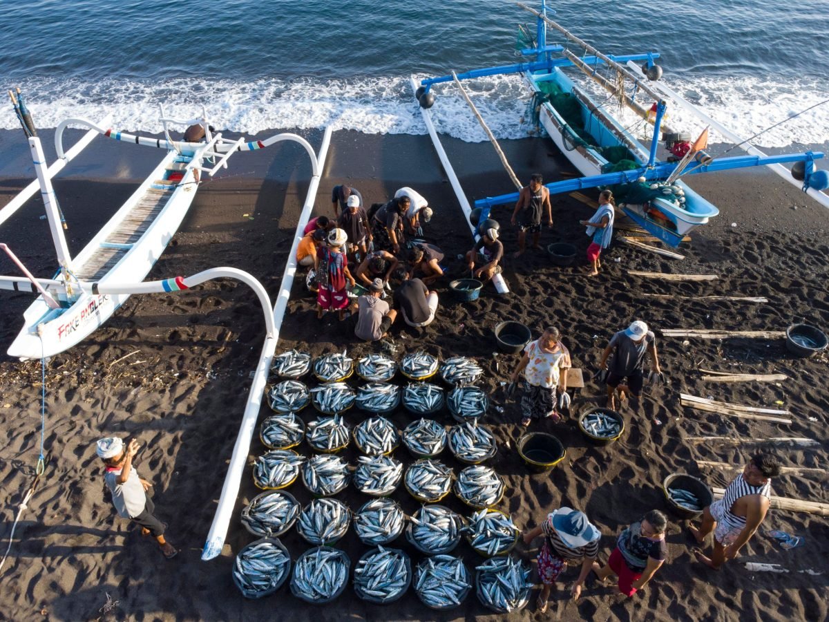 people standing around baskets of fish in rows on beach