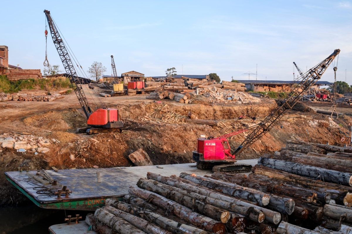 Logging boats being unloaded