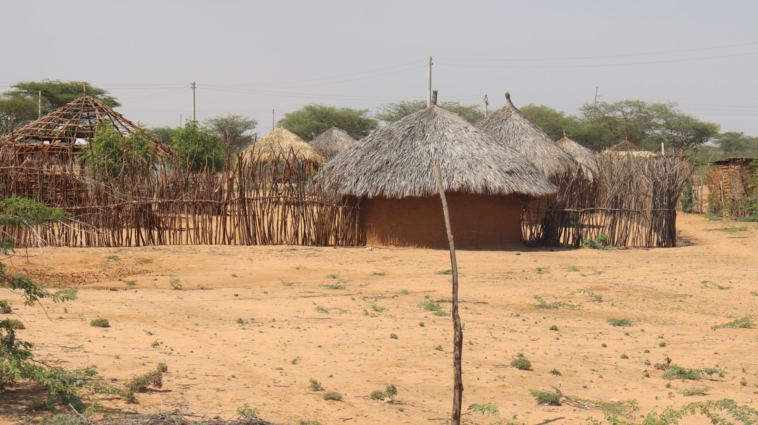 cluster of thatch covered stick built houses