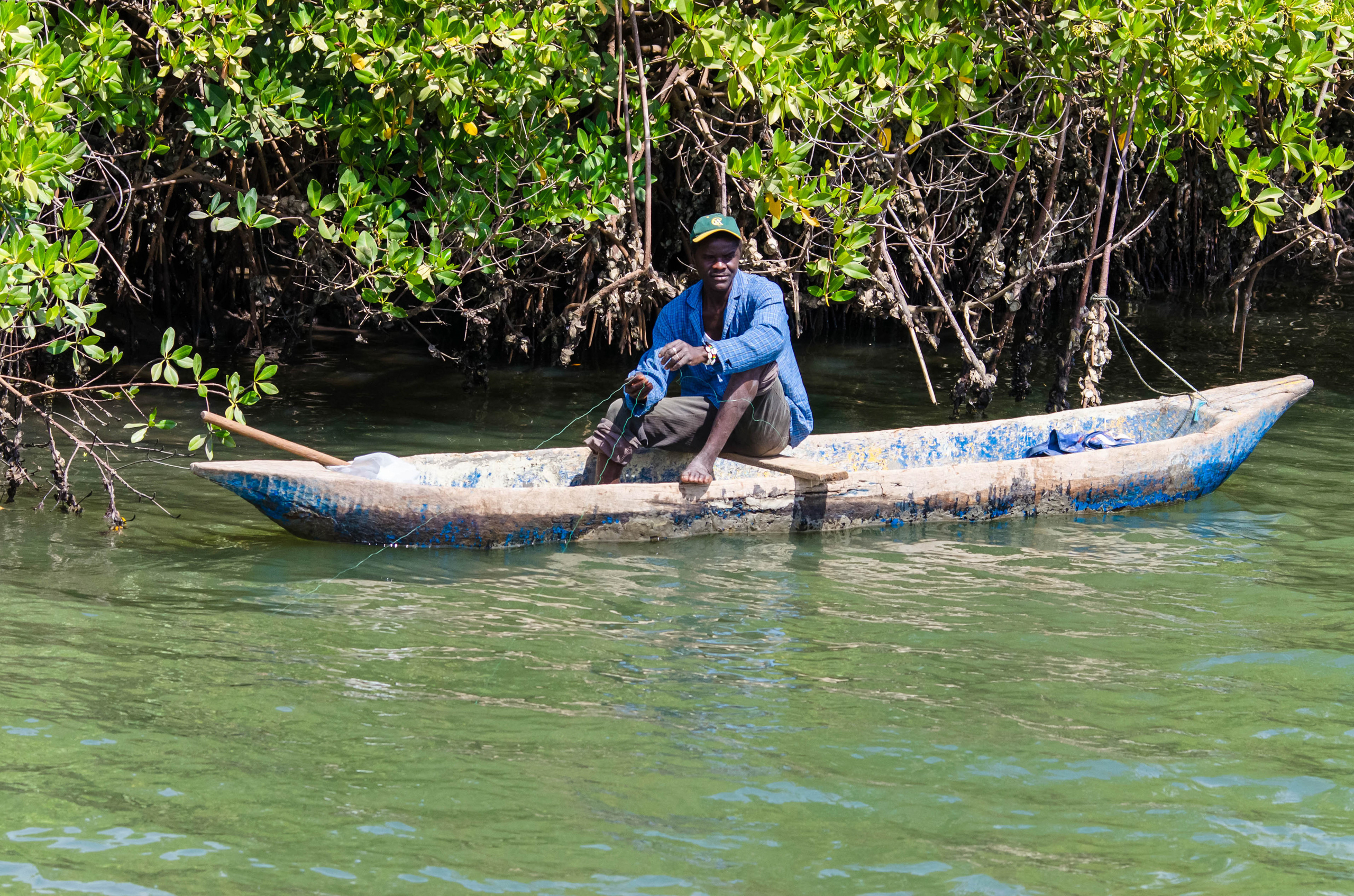 man on narrow boat in mangrove