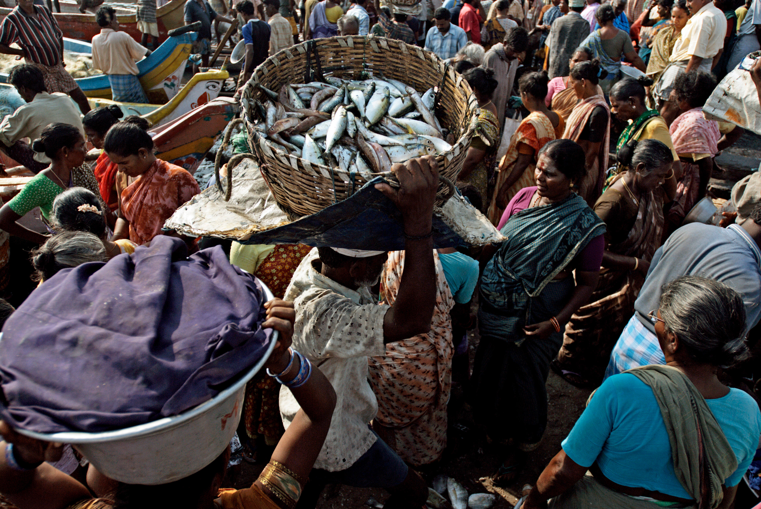 man carrying large basket of fish on head amidst crowd