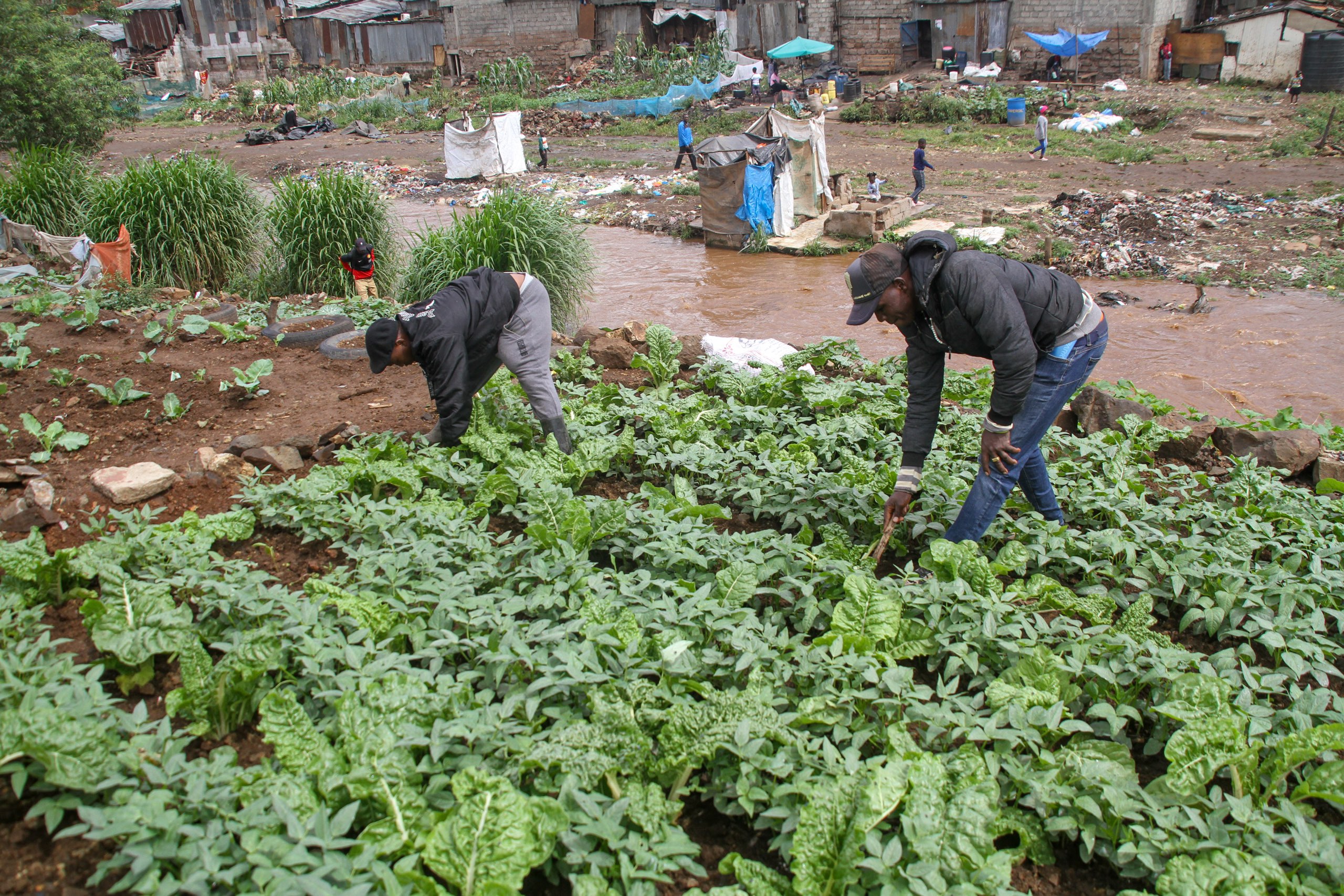 Two people engaged in gardening activities