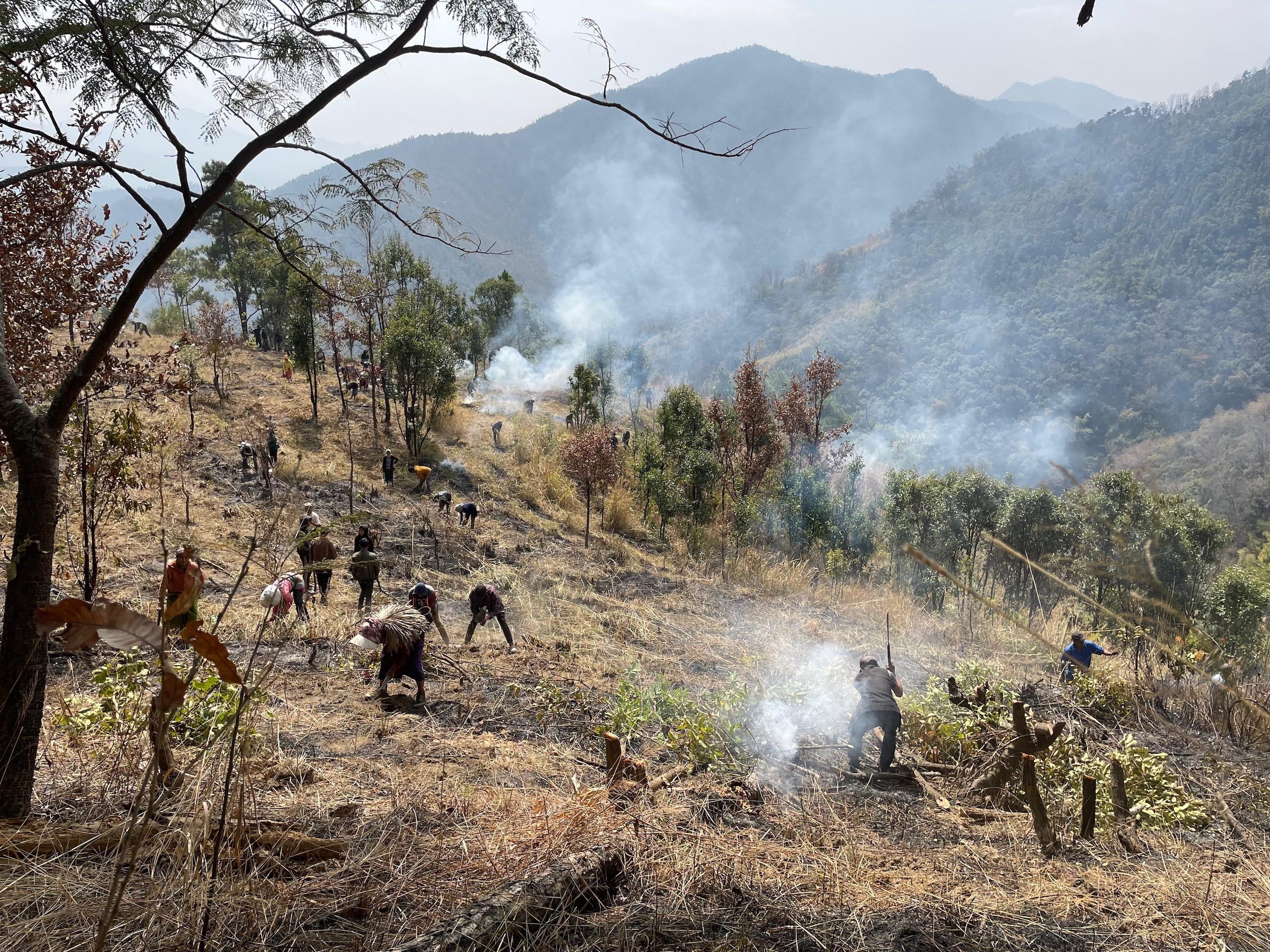 a group of people engaged on a hillside