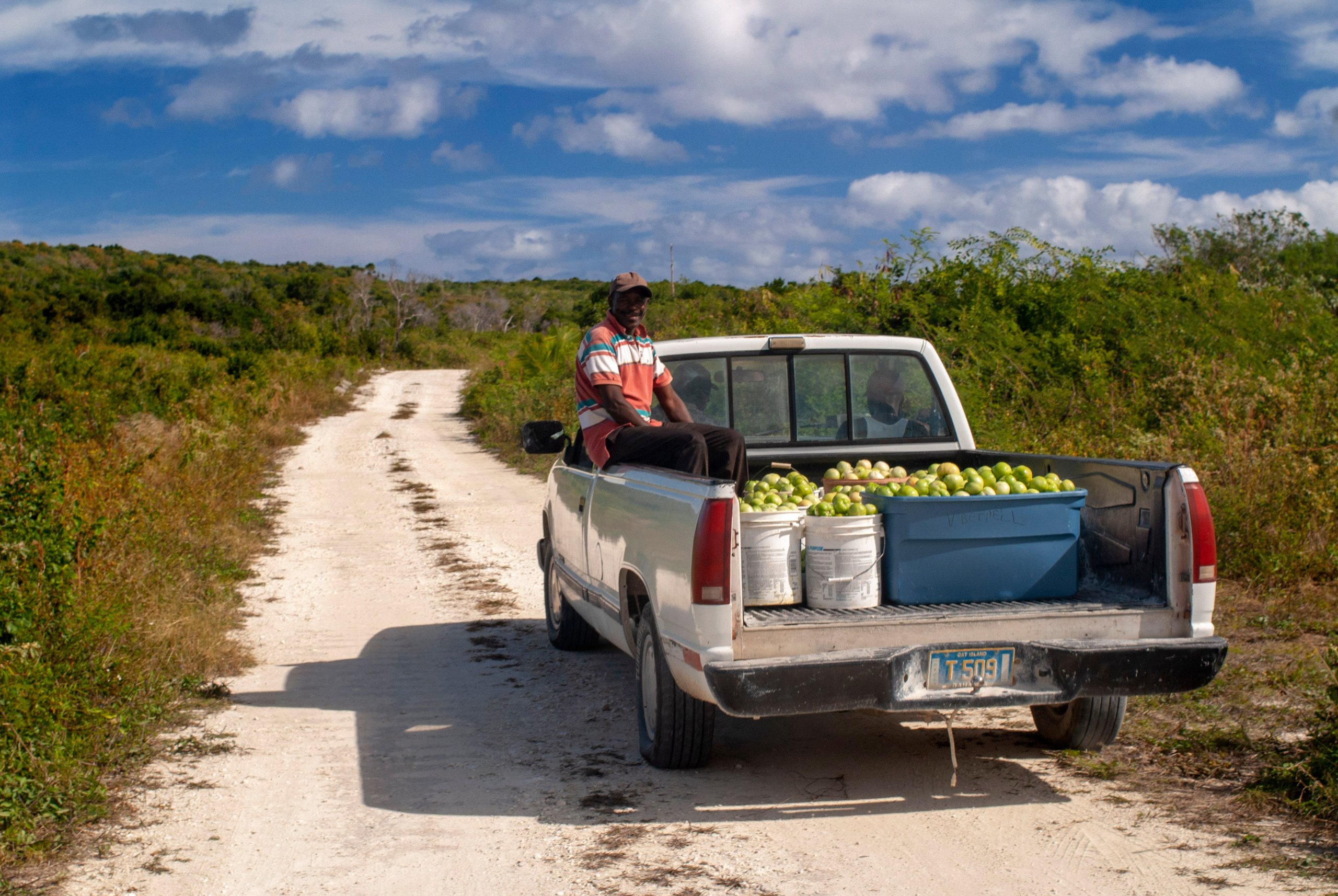 hombre sentado en la parte trasera de una furgoneta junto a cajones de tomates en una carretera