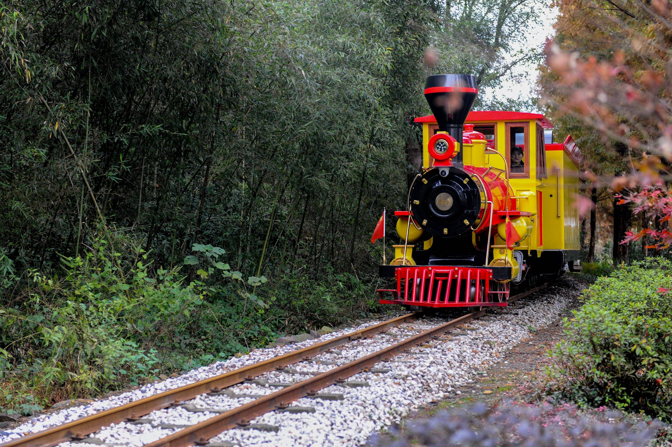 colourful train on narrow track
