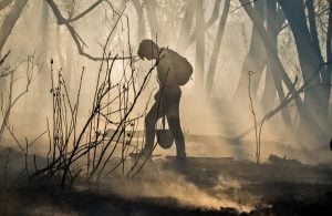 hombre caminando por un bosque lleno de humo