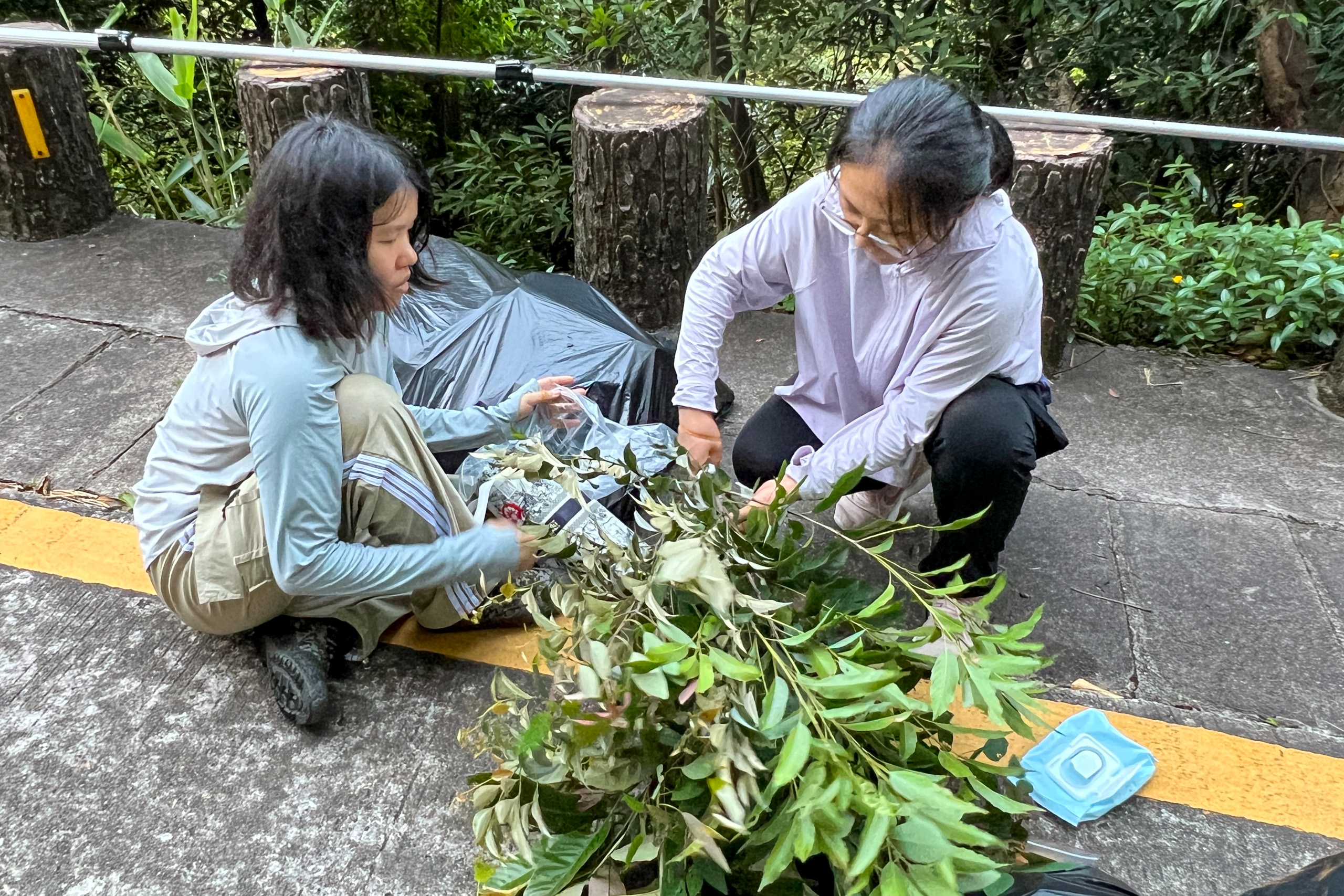 two researchers collect leaf samples in a forest