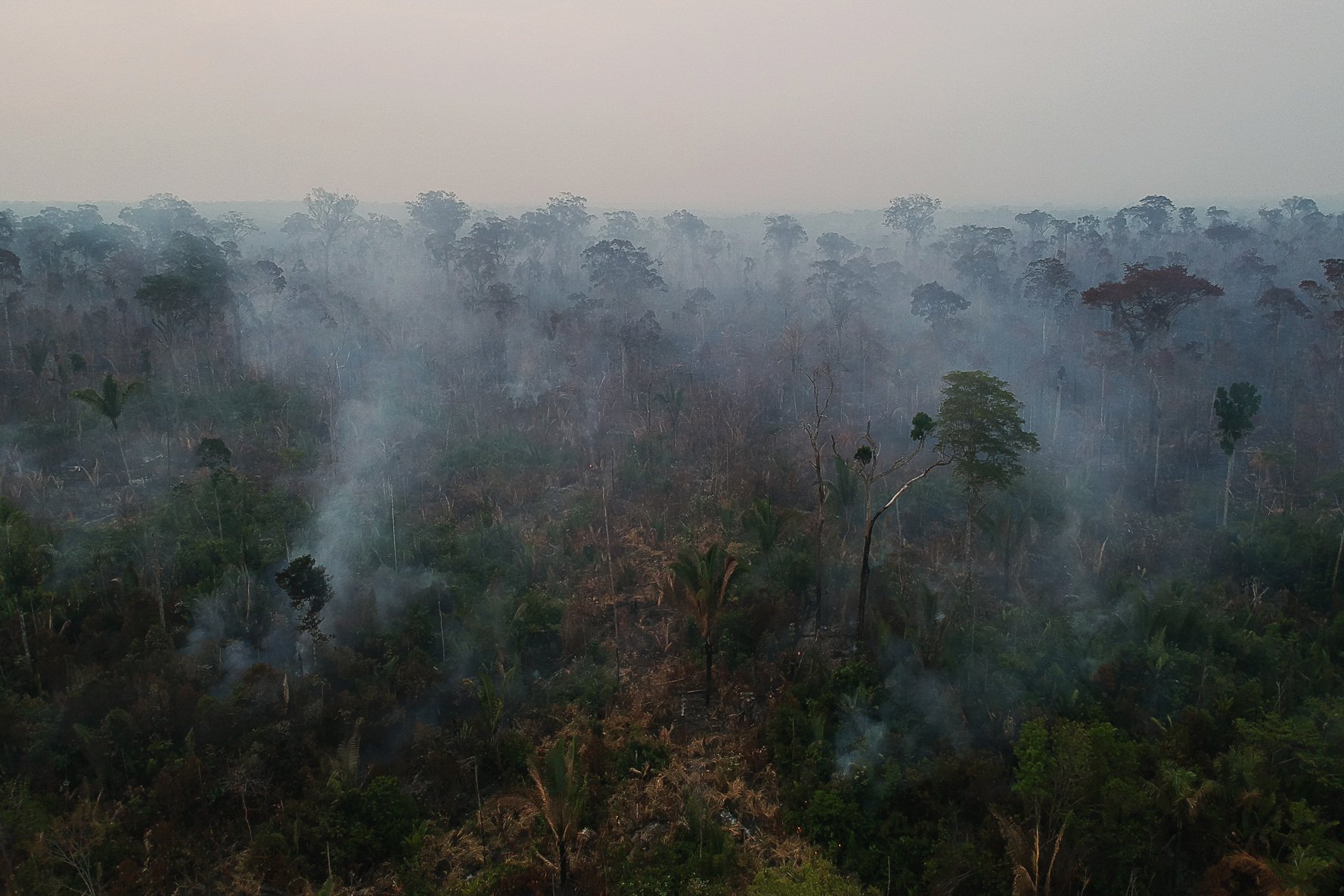Floresta em chamas no município de Apuí, estado do Amazonas