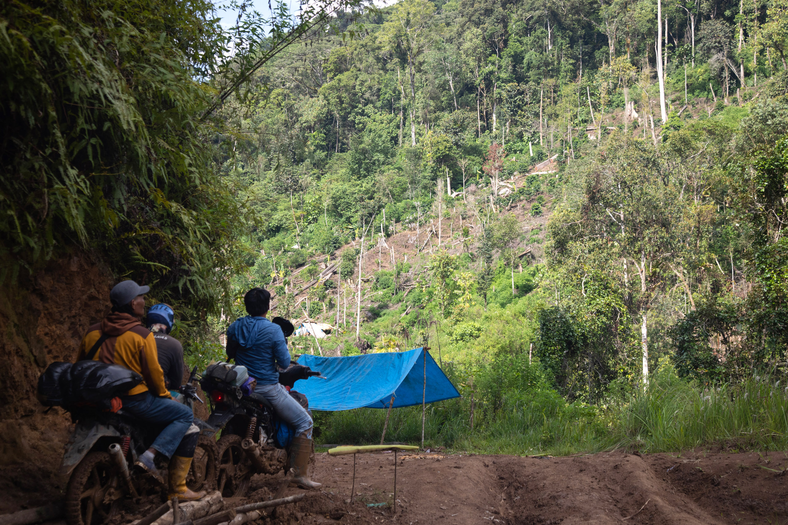 Floresta desmatada dá lugar a plantações na comunidade Pohoneang em Seko, Indonésia