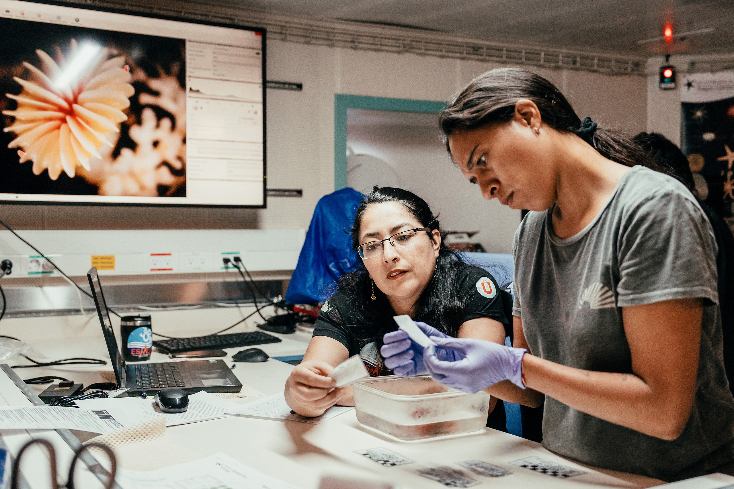 women examining small sheet samples