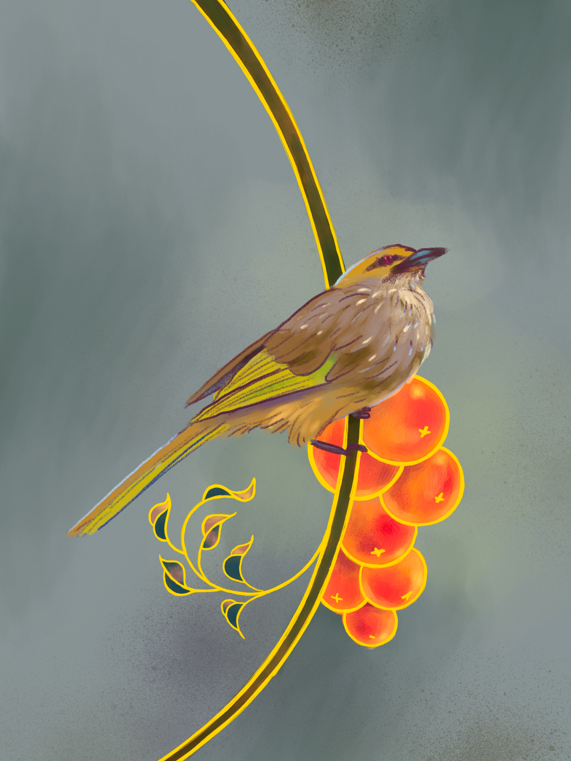 an illustration of a straw-headed bulbul perches on a branch