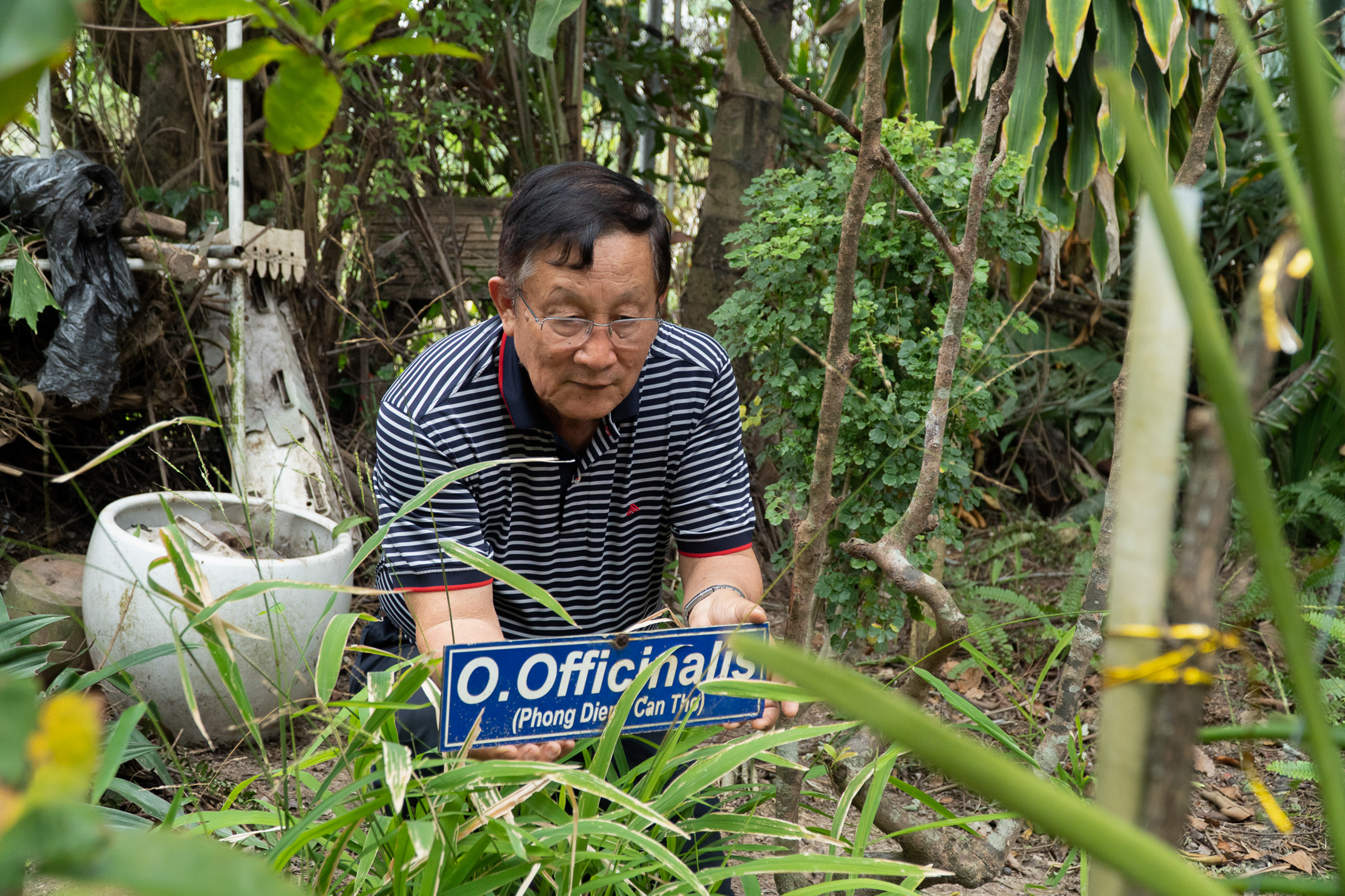 A man kneels in the field, putting a sign in the rice field
