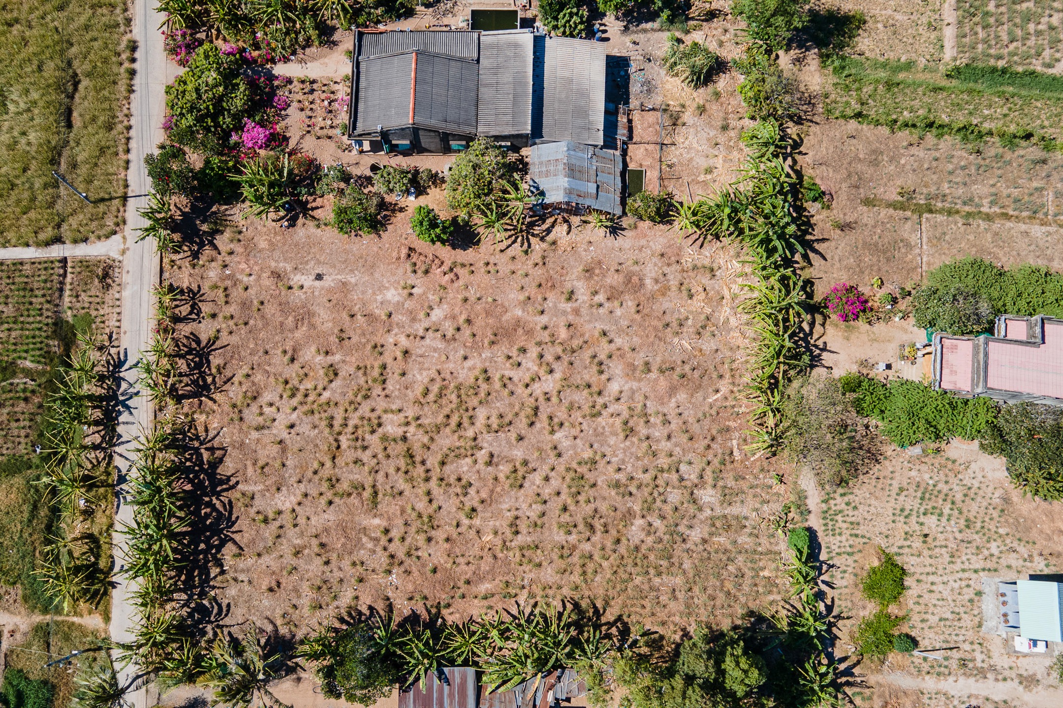 Aerial view of a farm featuring fields, crops, and a house