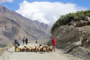 A group of sheep herders walking along a dirt road
