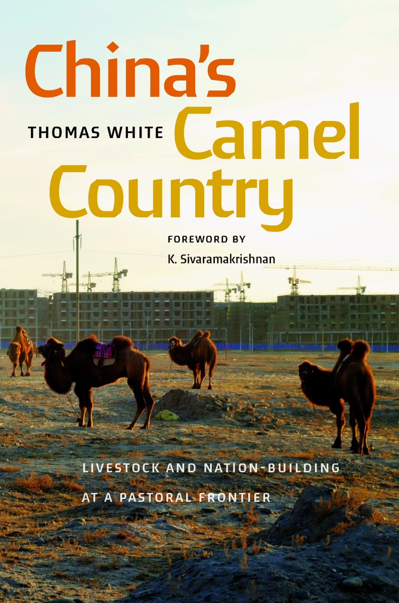 book cover of China's Camel Country