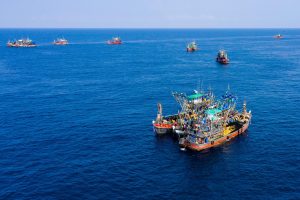A large fleet of fishing trawlers in the ocean