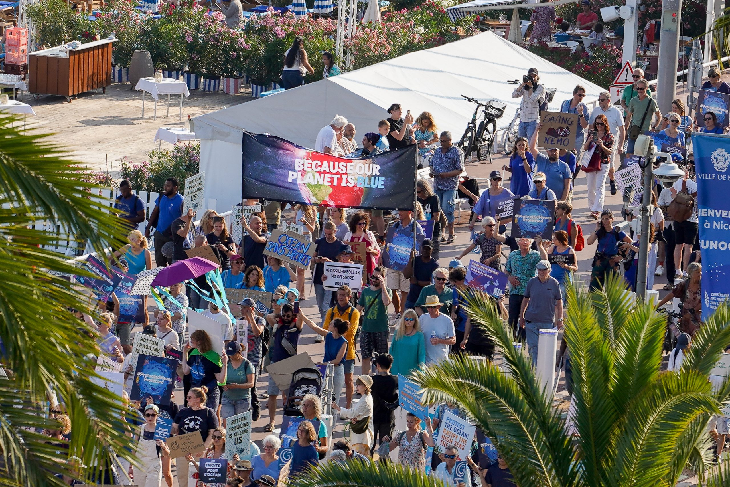 crowd of people holding protest signs