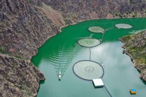 A large body of water featuring multiple fish cages scattered throughout the landscape