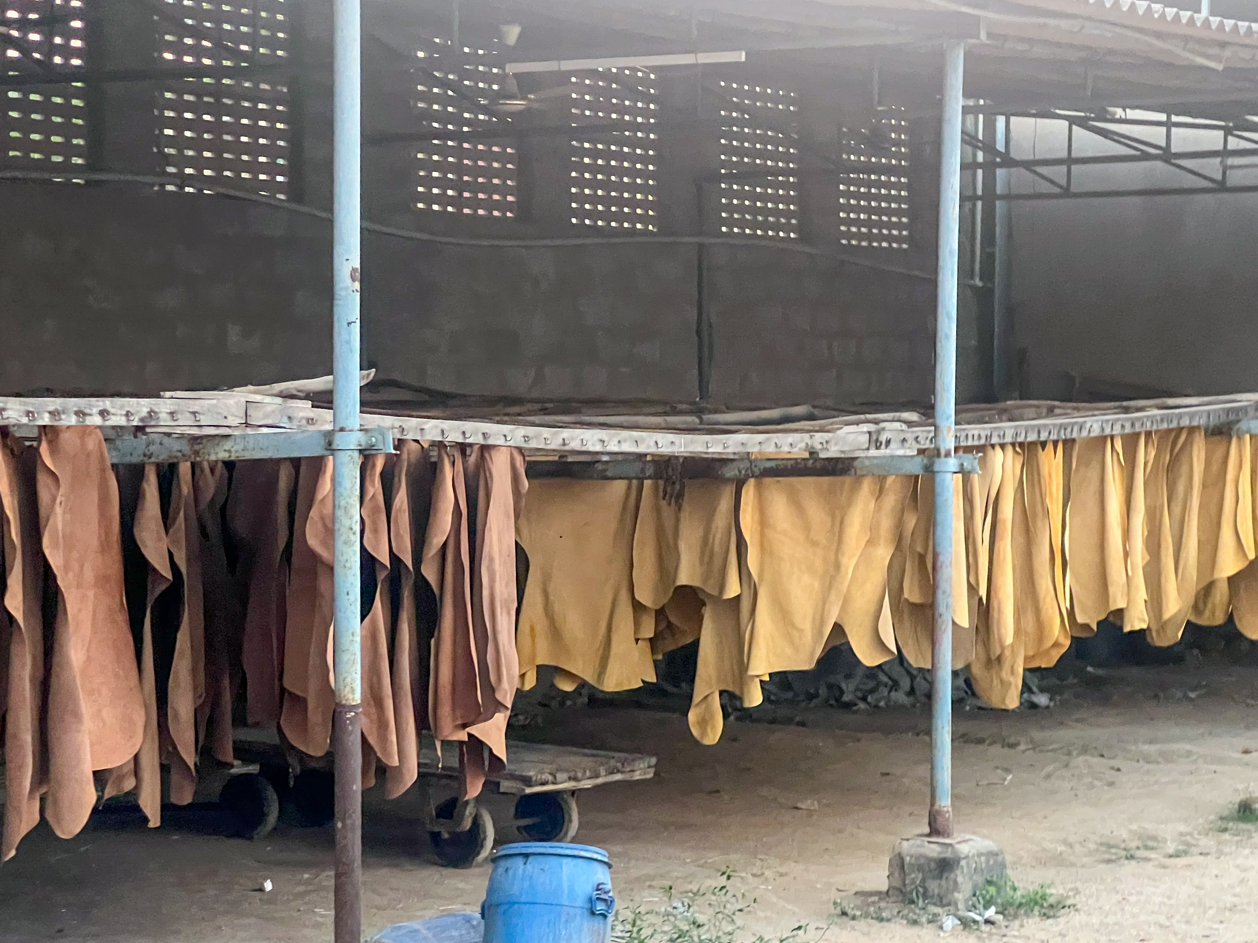 rows of hanging raw hides