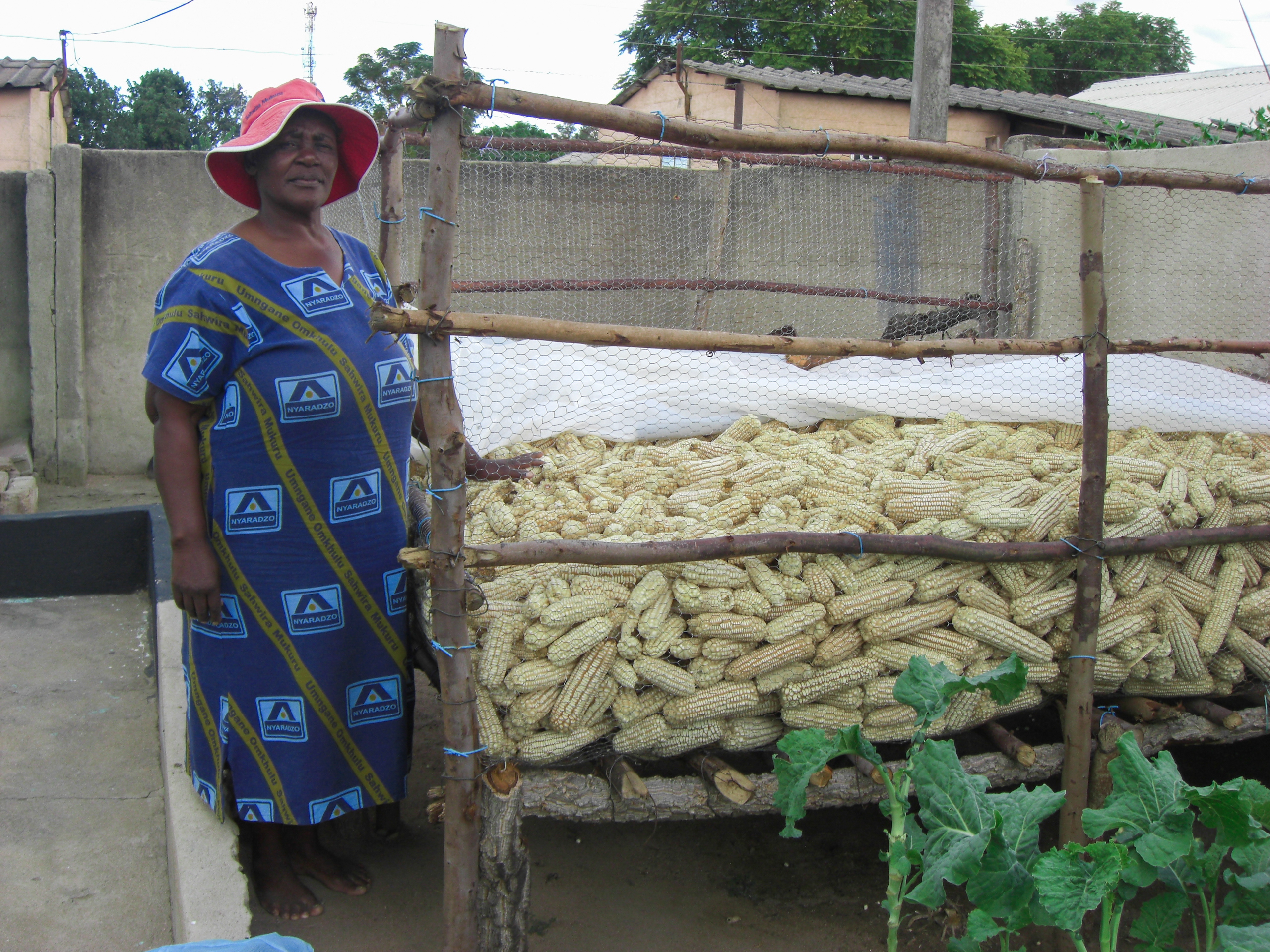 woman standing near large cage containing corn