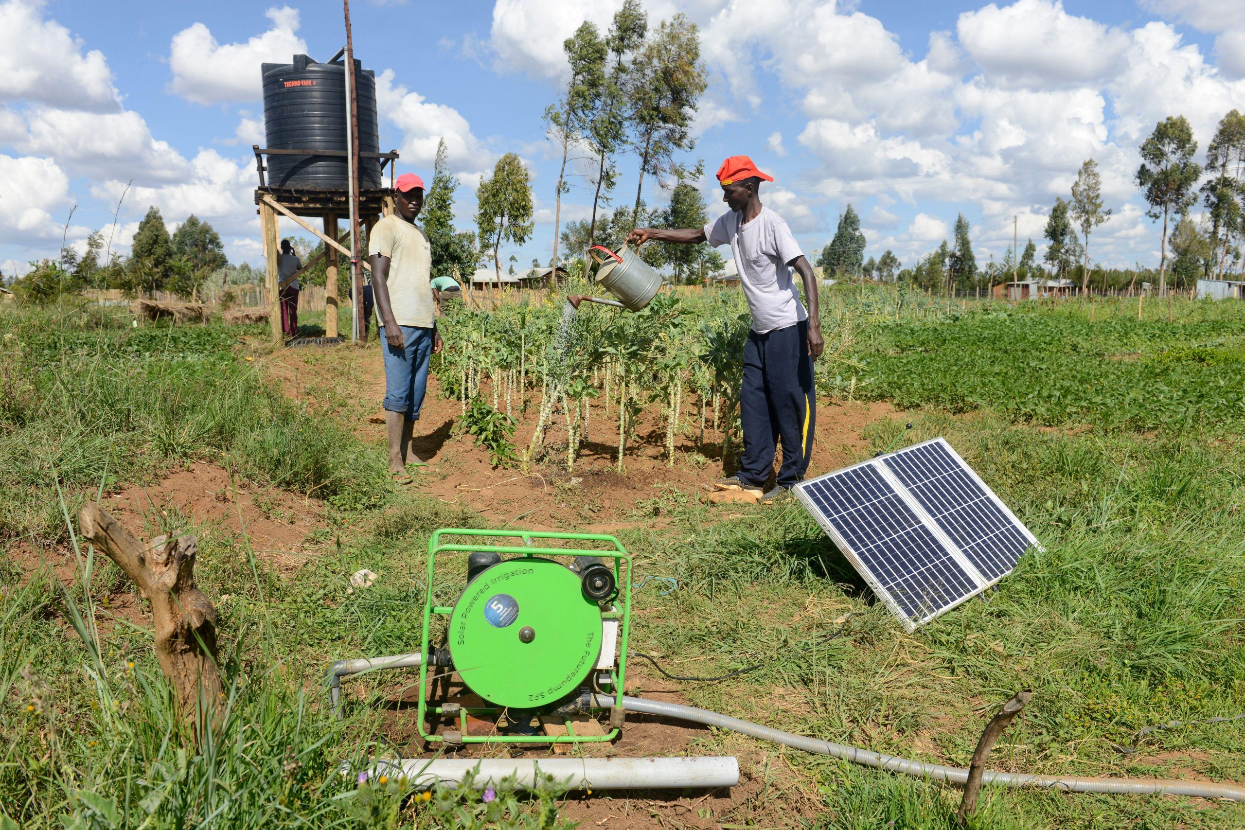 man using watering can on patch of plants near sola panel