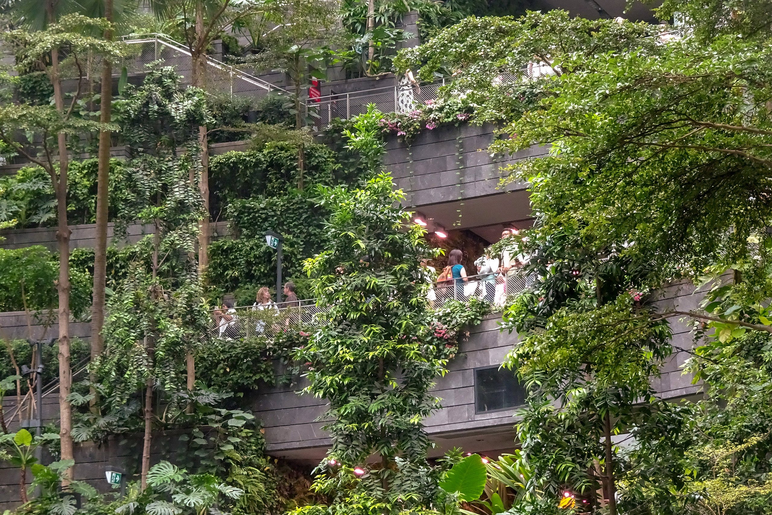 Edificio con vegetación en su fachada
