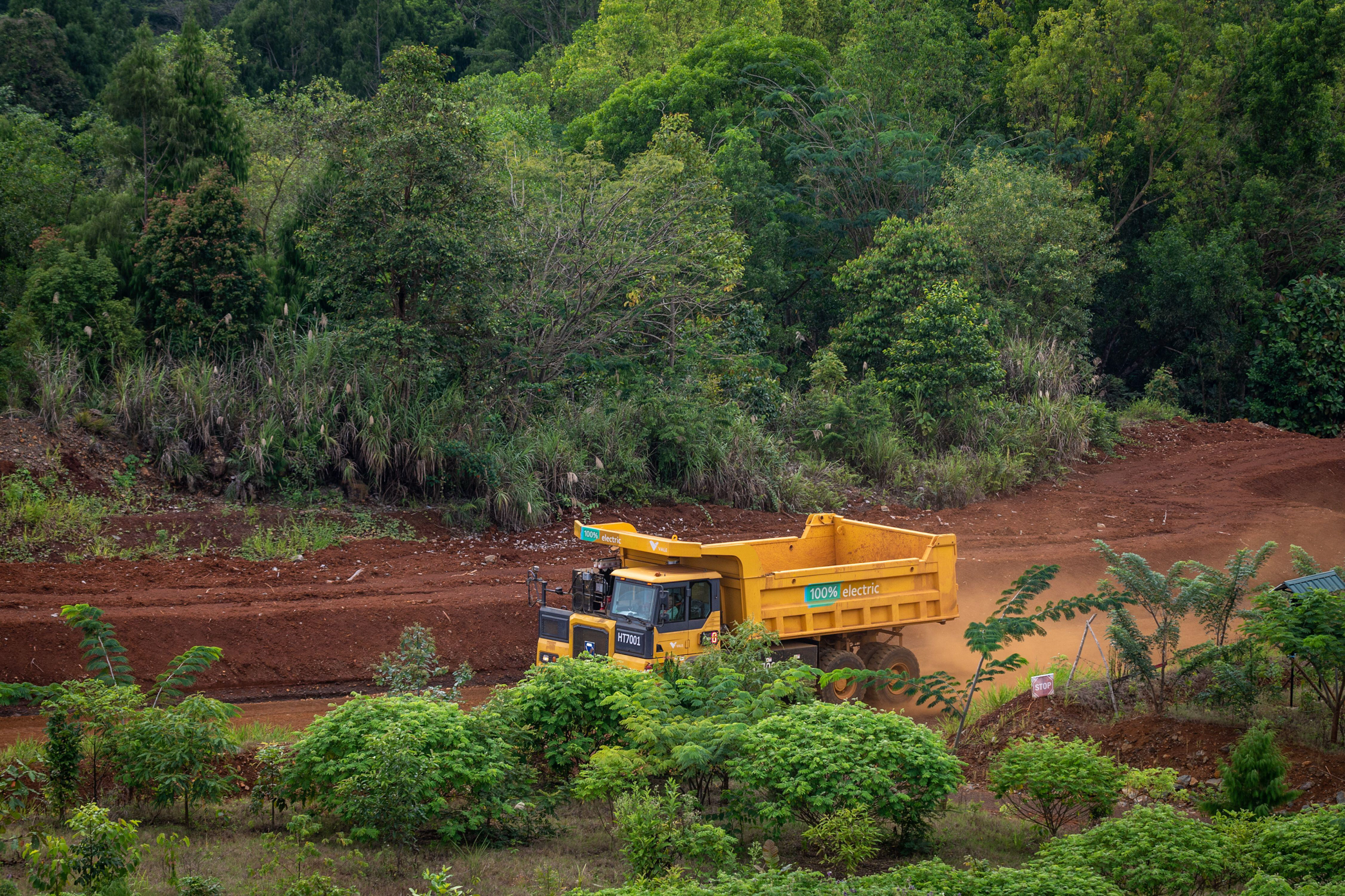 yellow truck in forest