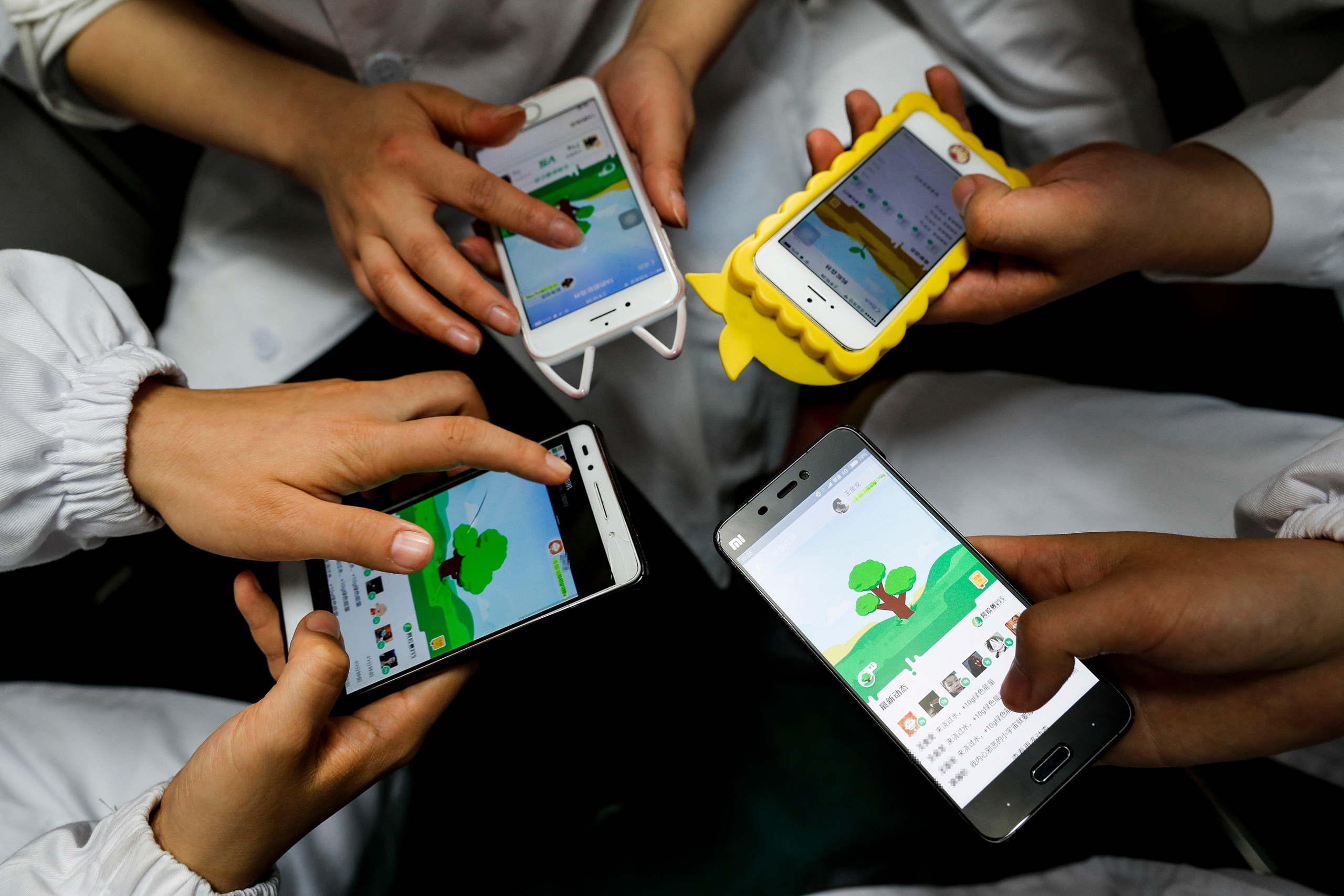 <p>Ant Forest, China&#8217;s best-known platform for personal carbon accounting, directs users’ points toward forestation projects (Image: Imaginechina / Alamy)</p>