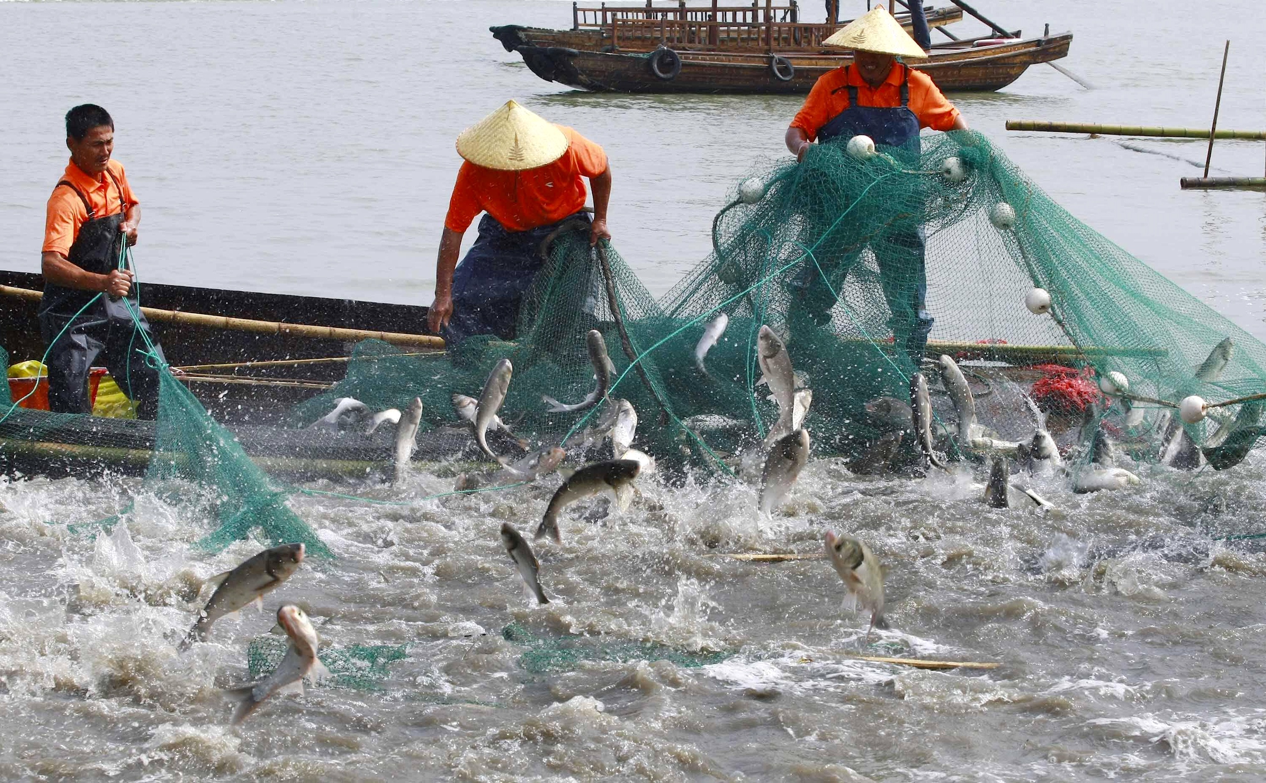 <p>Fishers at Dianshan Lake Fishing Festival in Shanghai, east China. The country’s Fisheries Law is currently being amended to tackle overfishing and develop the industry sustainably (Image: Imago / Alamy)</p>