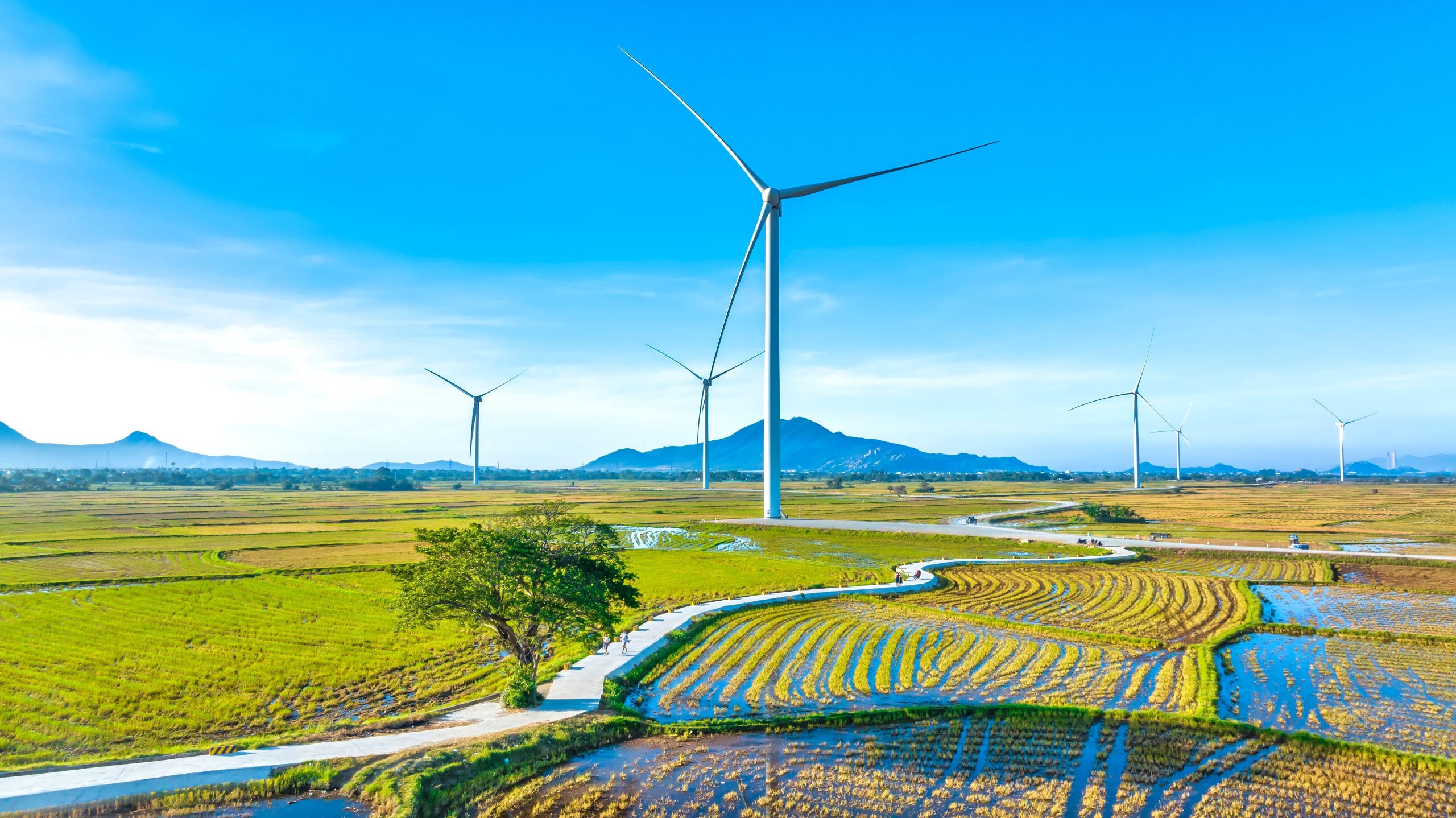 <p>Wind turbines in Phan Rang–Tháp Chàm, a coastal city in southern Vietnam (Image: Thoai Pham / Alamy)</p>