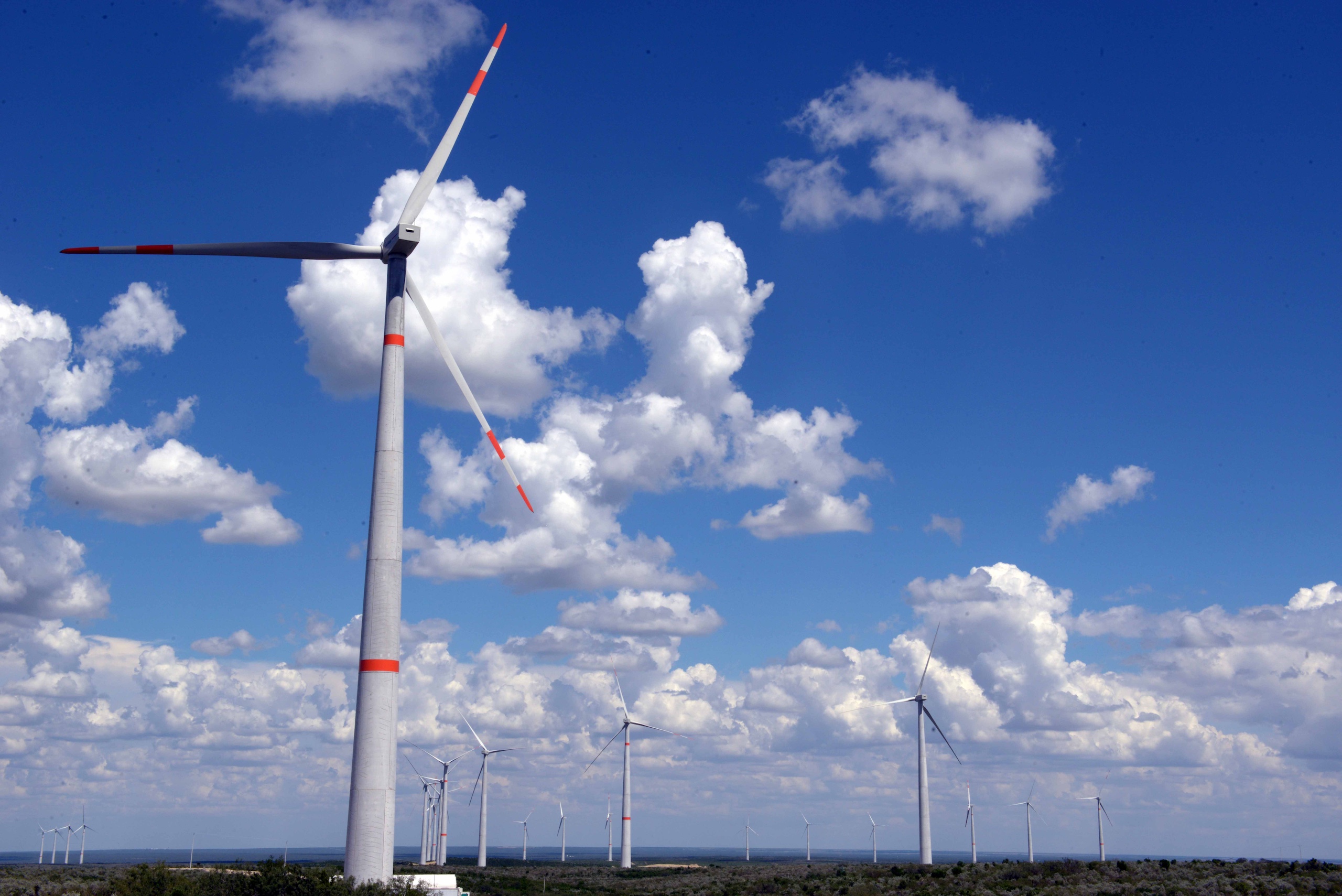 A group of wind turbines stands tall in a green field under a clear blue sky