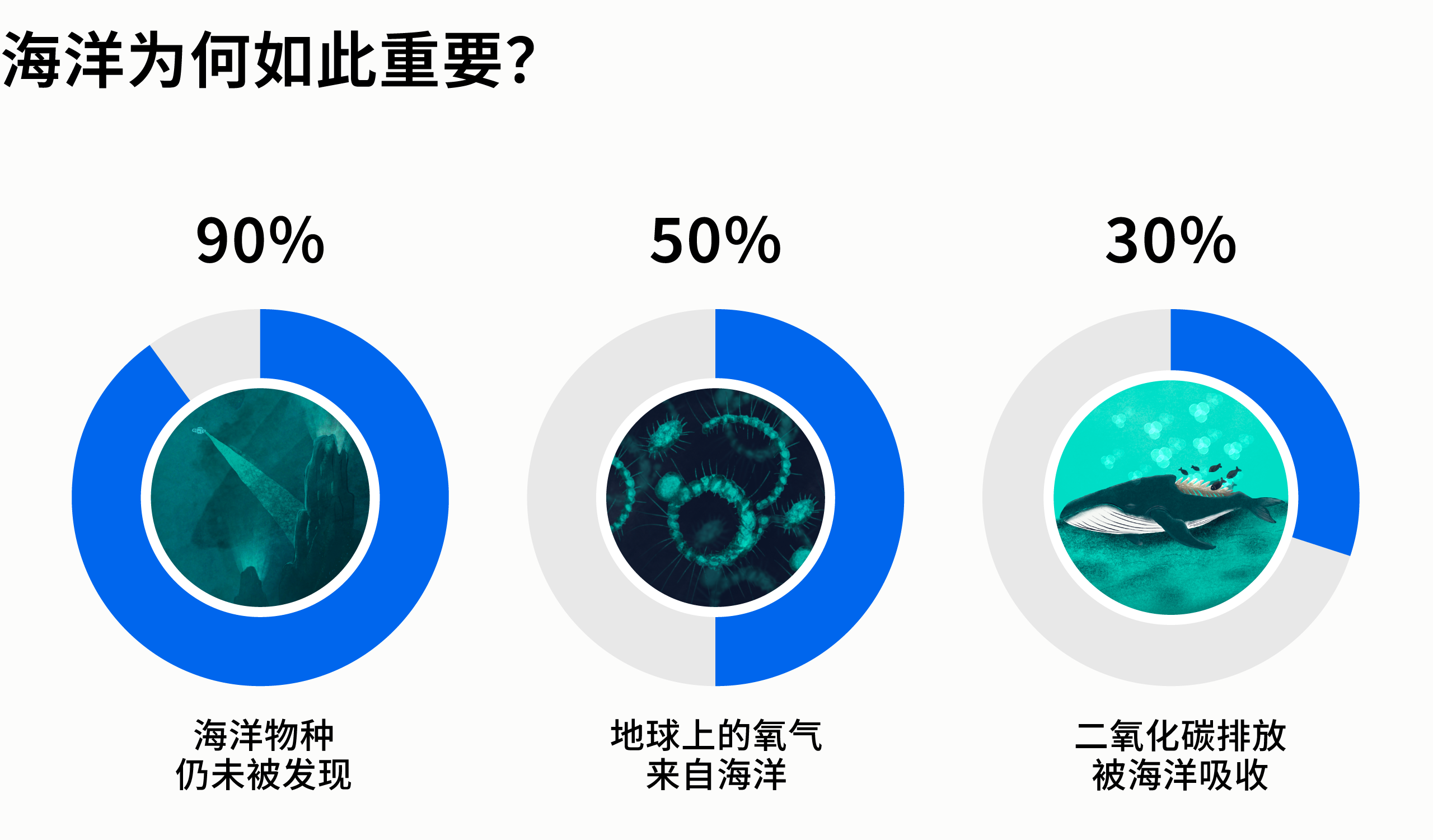 信息图展示了海洋的重要性