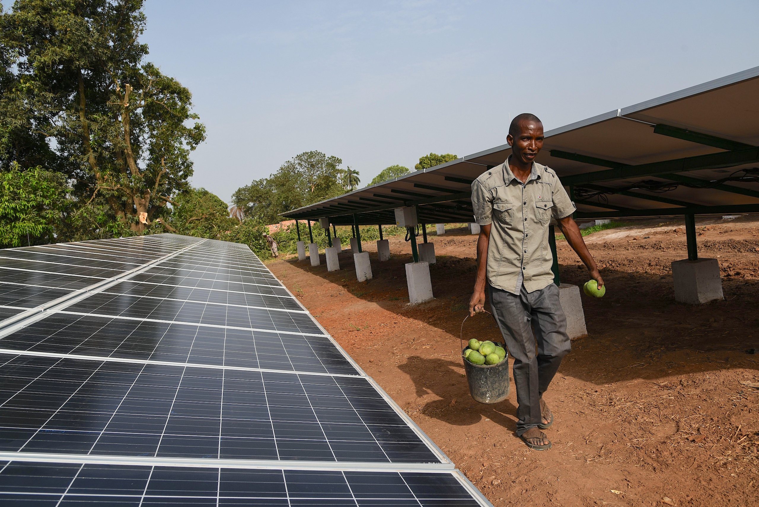 <p>Solar panels in the Gabú region of Guinea-Bissau (Image: Le Pictorium /Alamy)</p>