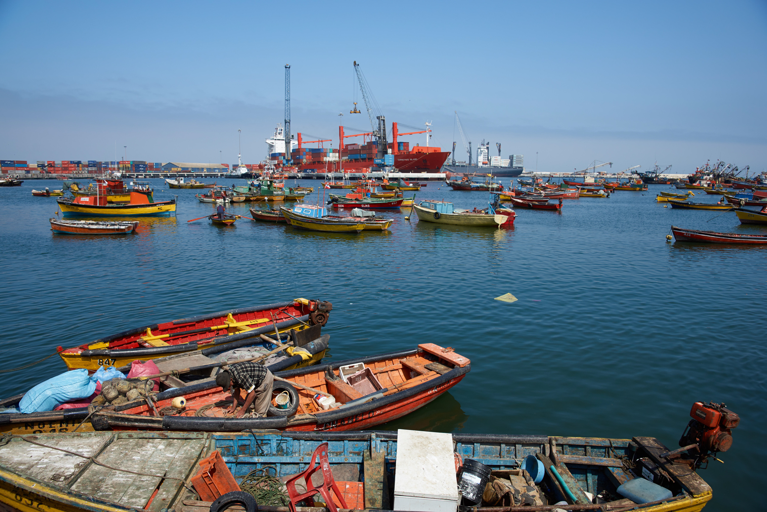 <p>Fishers landing catch in Arica, northern Chile. Sustainable artisanal fishing practices and the involvement of local and indigenous communities were among the topics discussed at a recent workshop in Viña del Mar (Image: Jeremy Richards / Alamy)</p>