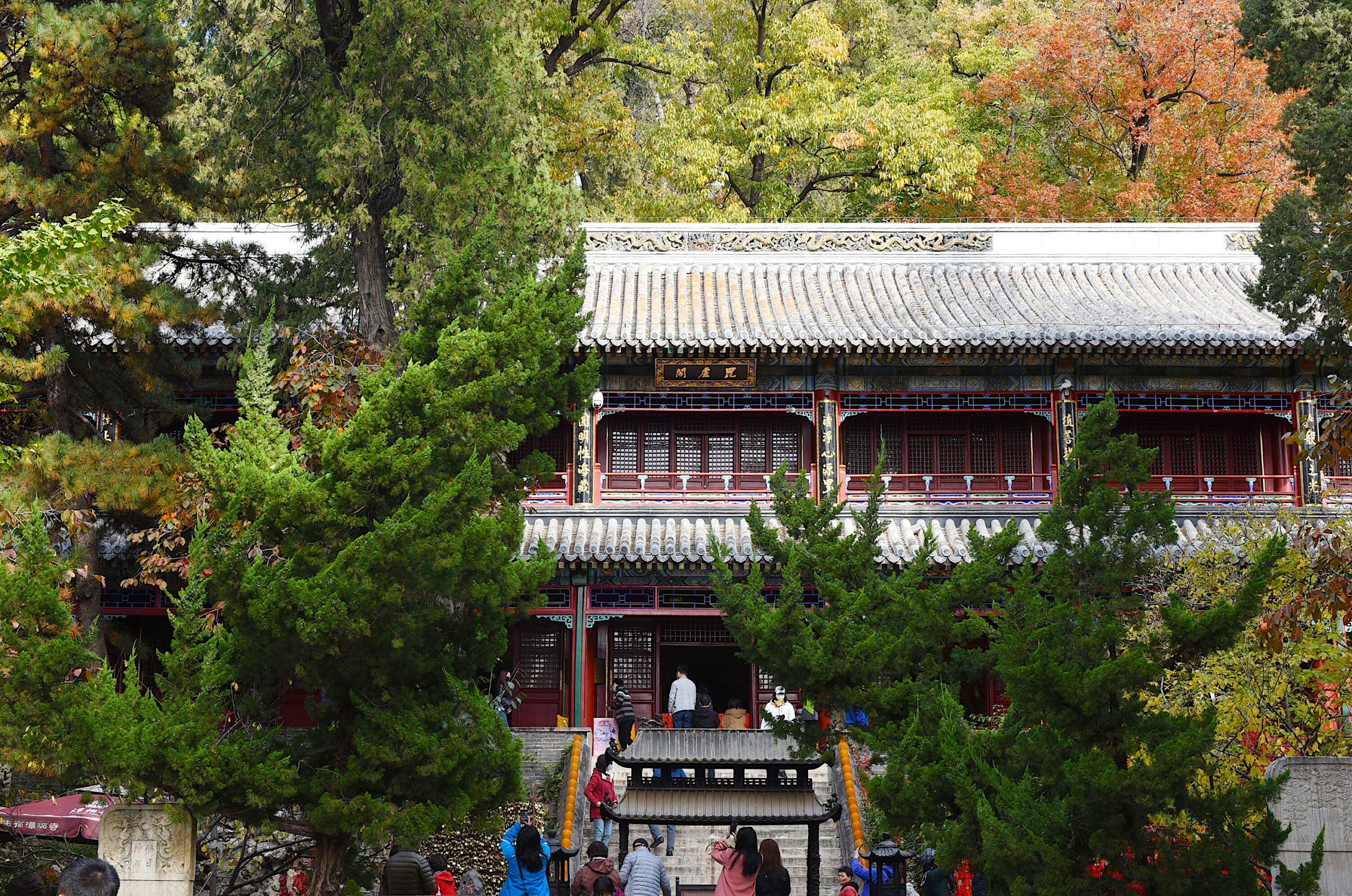 <p>Tanzhe Temple in Beijing, a Buddhist place of worship built in around 307 AD, contains 178 ancient trees of more than a century old (Image: Imaginechina/ Alamy)</p>