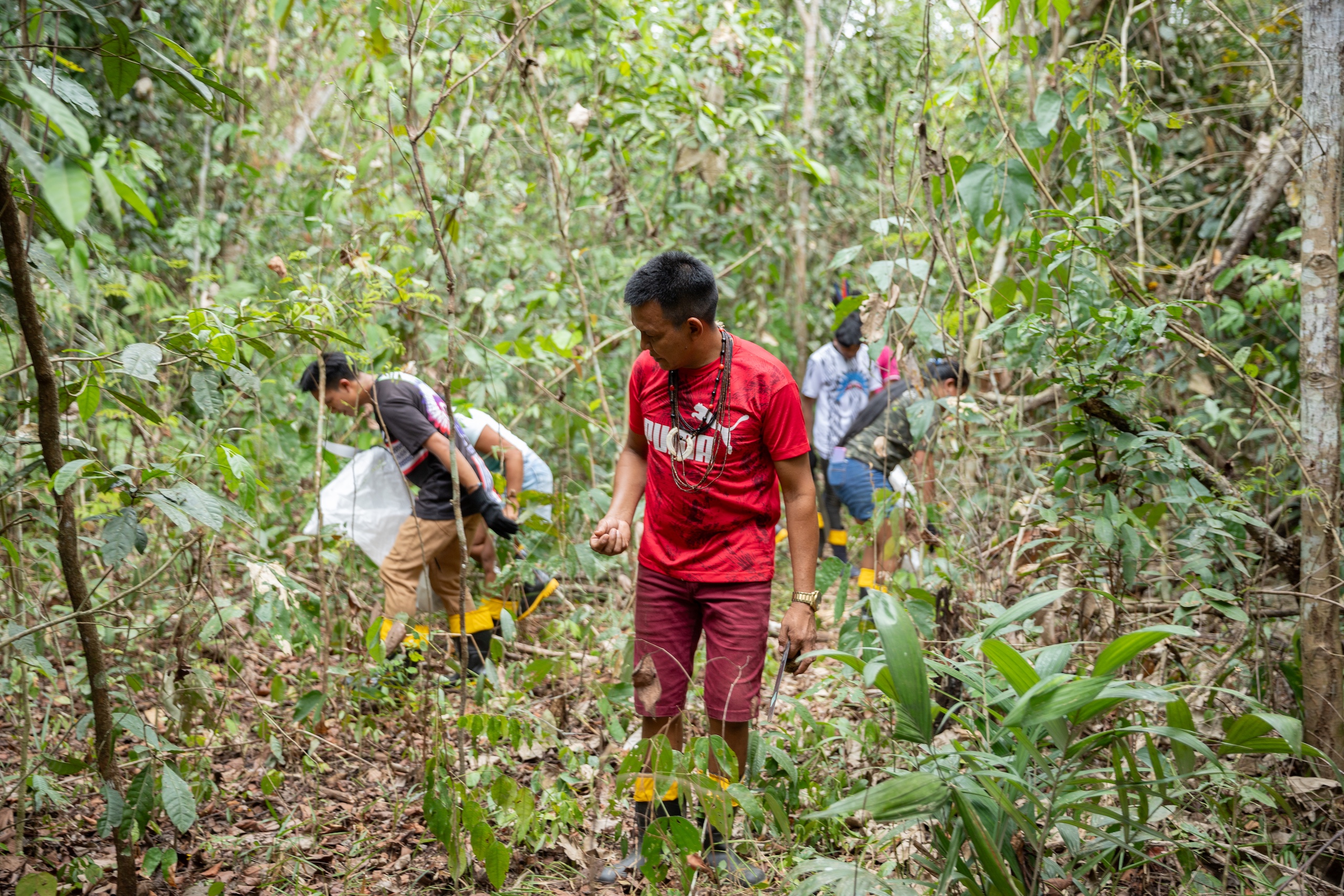 <p>Coletores procuram sementes na Terra Indígena Karitiana, Rondônia. Sementes nativas são essenciais para preservar a biodiversidade brasileira e atingir as metas de restauração florestal (Imagem: Jonathan Molino / Ecoporé)</p>