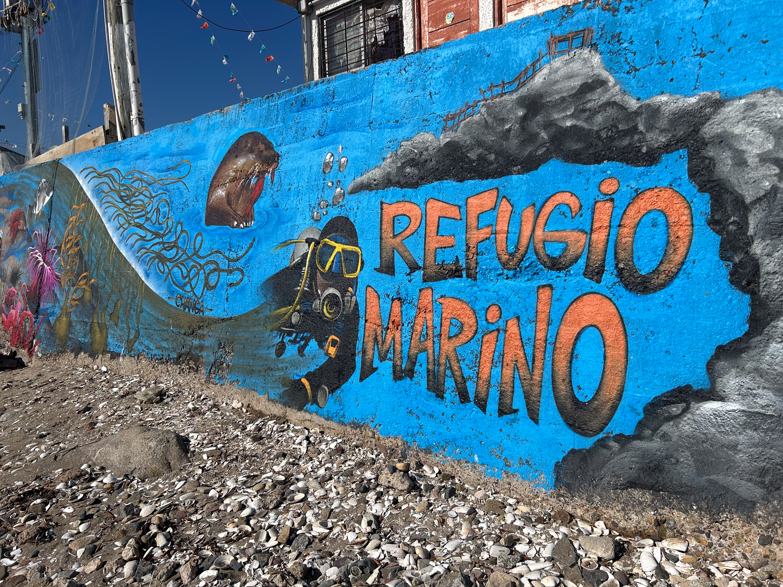 Graffiti en una pared que dice "Regufio marino" y tiene pintada la imagen de un buzo